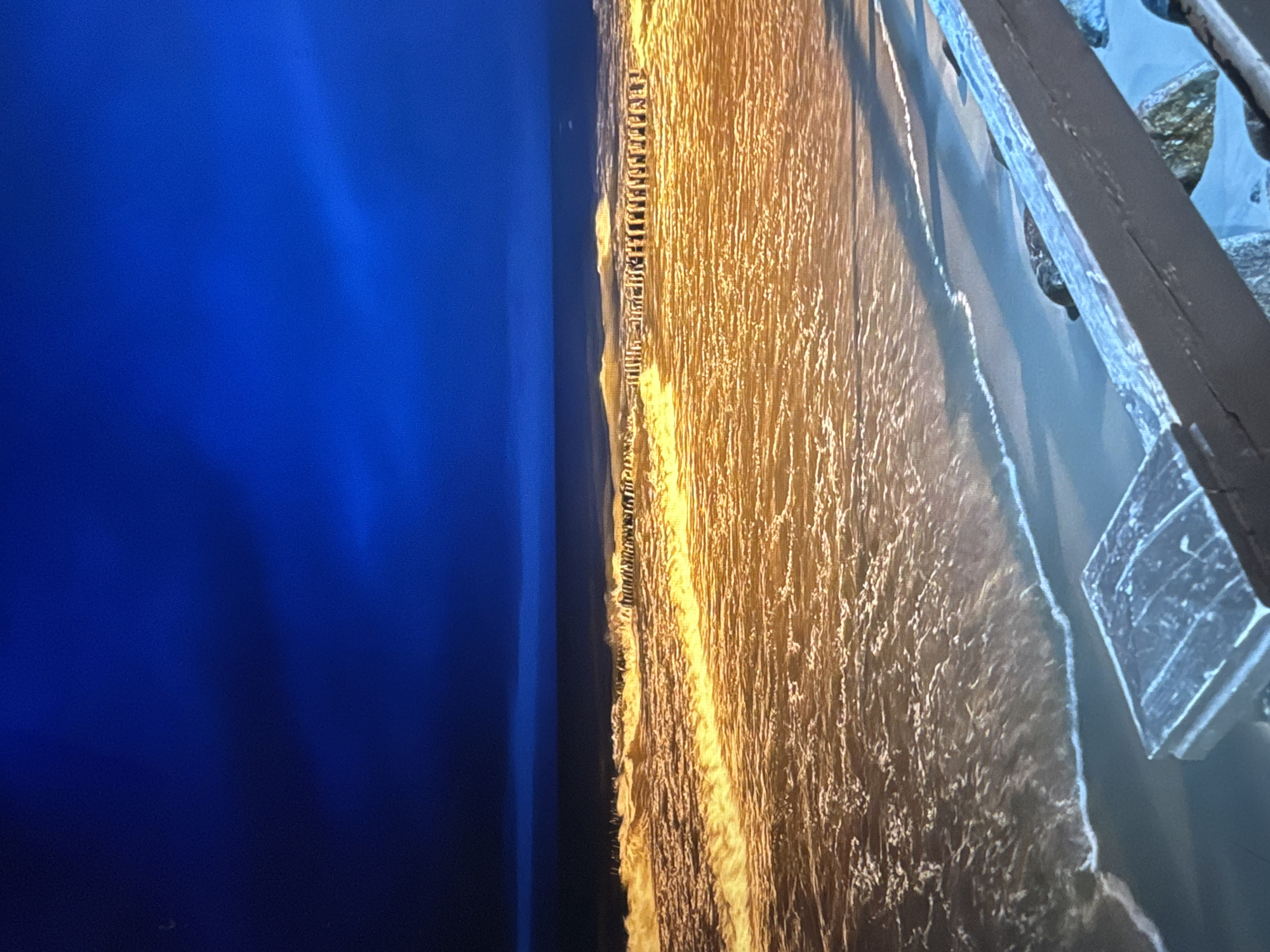 The image depicts a nighttime view of a beach, illuminated by artificial light, creating a golden hue on the water. The ocean is moderately active with waves breaking. In the distance, a line of wooden posts, possibly part of a pier or groynes, stretches across the water. The sky is a deep, dark blue, with some lighter cloud formations visible. In the foreground, a wooden railing runs diagonally across the frame, and to its right, a seal is partially visible on the wet sand near the water's edge. The location is identified as a beach in the settlement of Novinki, Russia.