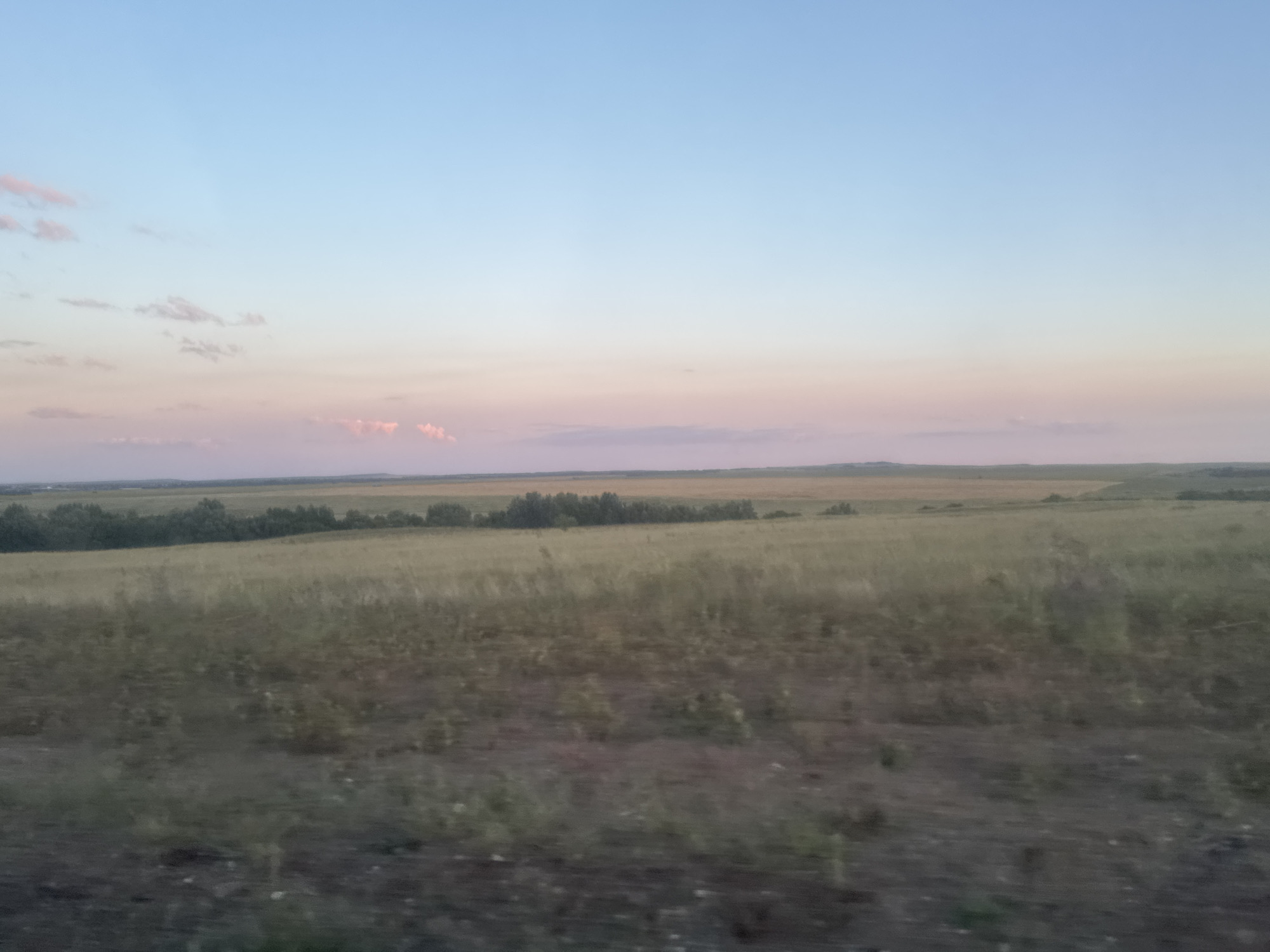 The image depicts a rural landscape at dusk. The sky transitions from a light blue at the top to soft pink and orange hues near the horizon, suggesting either sunrise or sunset. A line of trees runs across the middle ground, dividing the distant fields from the foreground. The foreground consists of dry grass and sparse vegetation. The overall scene is serene and natural, typical of a countryside setting outside of a populated area. It is not possible to determine the specific location within the city of Vasilievka, Russia based on the provided image.