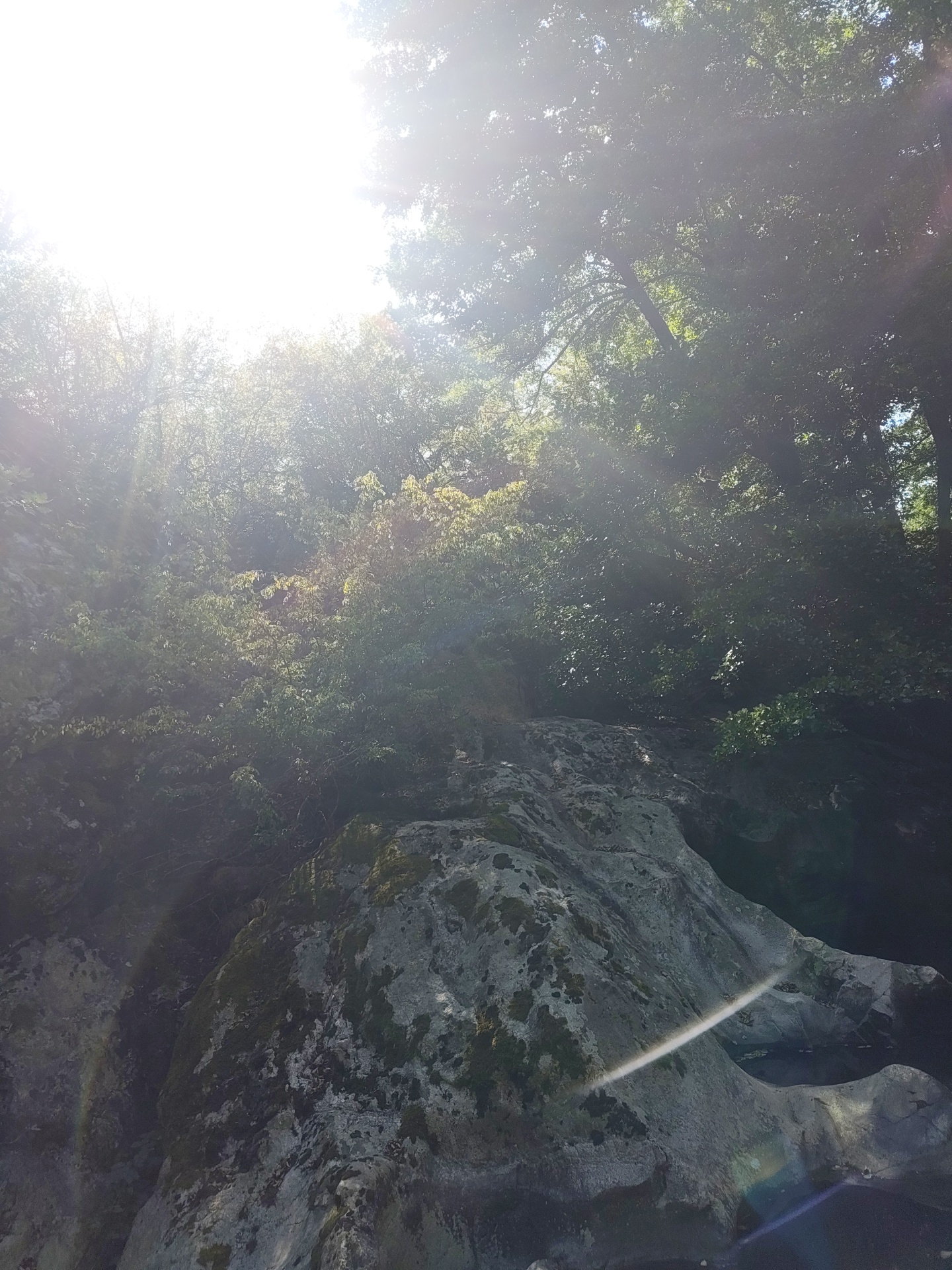 The image depicts a natural outdoor scene dominated by dense foliage and rugged, moss-covered rocks. Bright sunlight streams in from the upper left, creating lens flare effects and overexposing portions of the image, particularly the sky and the upper canopy of trees. The trees are lush and green, with sunlight filtering through their leaves, illuminating some of the branches and foliage. The rocks in the foreground and midground are large and irregular, with patches of green moss growing on their surfaces. A body of water, likely a river or stream, is partially visible in the lower right corner, its surface reflecting the light. The overall impression is one of a serene, untouched natural environment, possibly a forest or a rocky riverbed. There are no people or discernible man-made objects visible in the image.