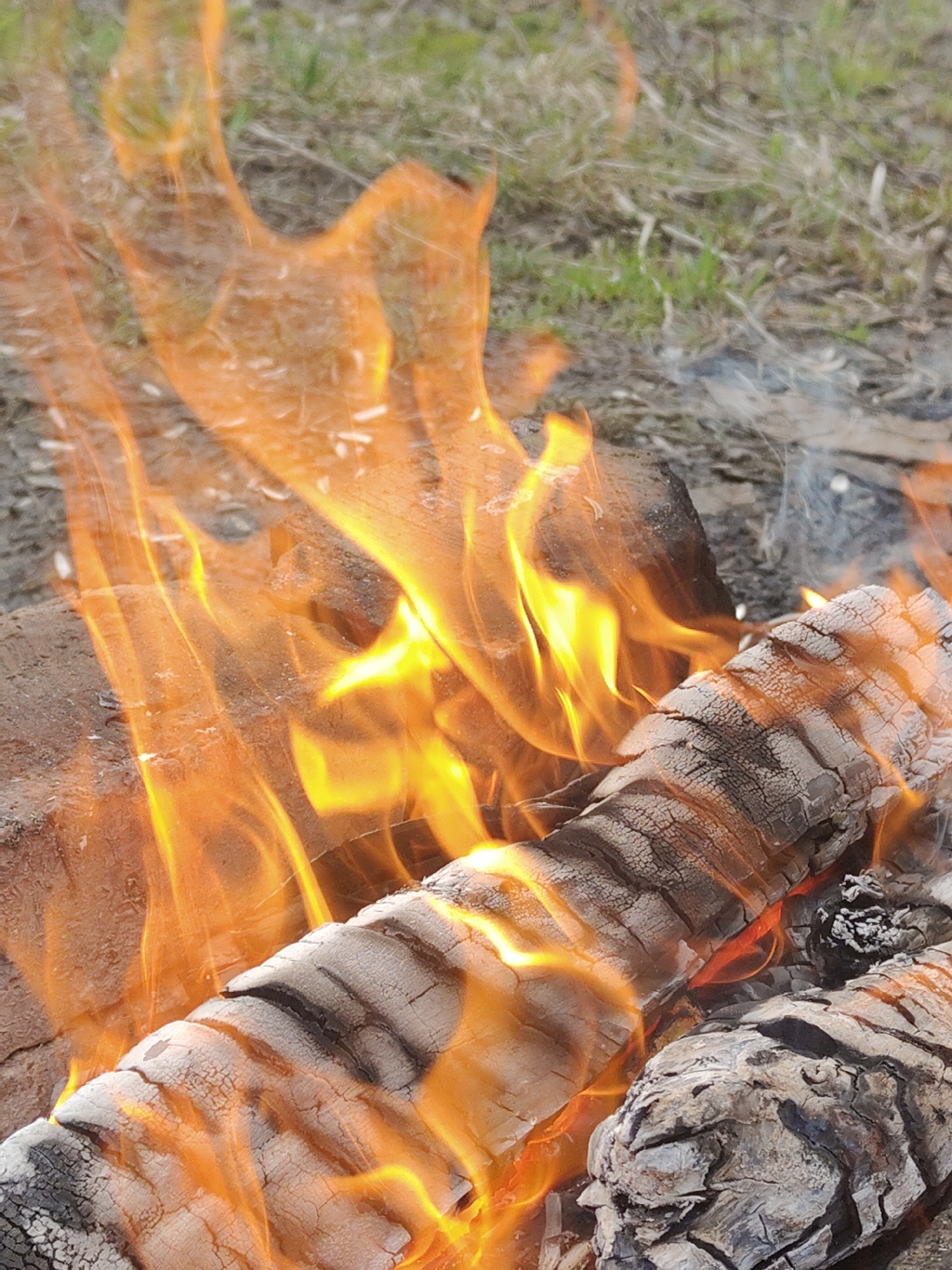 The image shows a close-up of a burning campfire. The fire is consuming several logs, which are charred and cracked. Flames are visible, rising from the wood and surrounding it. In the background, there is some grassy ground, suggesting an outdoor location. The location is described as Unknown, Unknown.