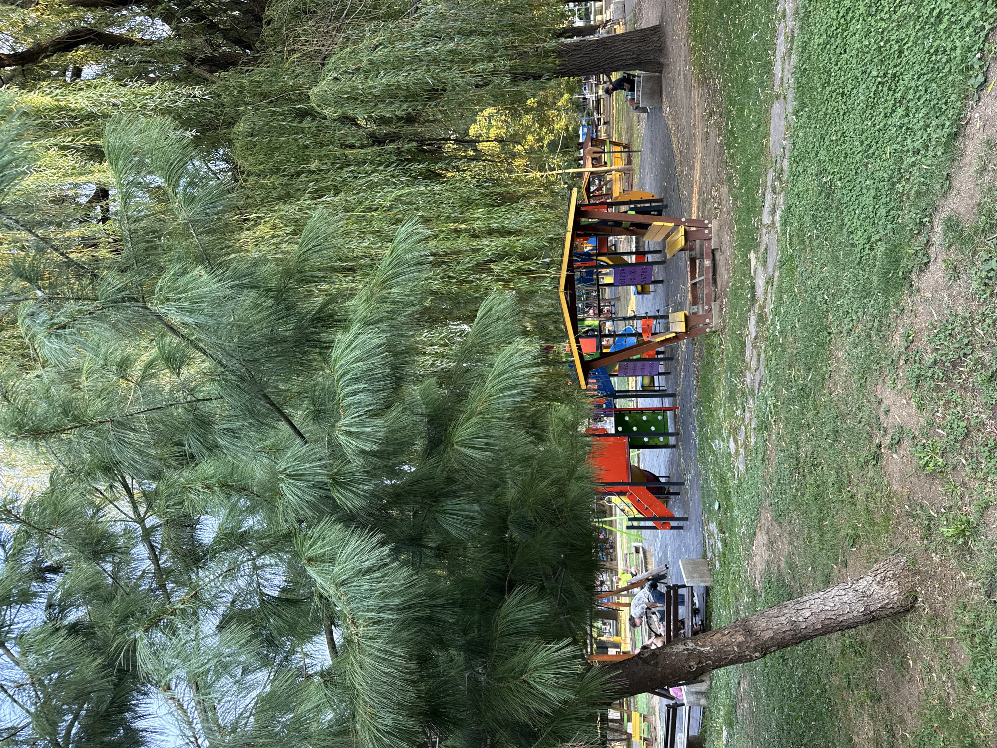 An outdoor playground with a colorful slide structure, swings, and benches is depicted. The playground is situated in a park with lush green grass and several large trees, including a pine tree in the foreground and a weeping willow to the right. A few individuals are visible in the park, some sitting on benches and others near the playground equipment. The scene appears to be set in the city of Montana, Bulgaria.