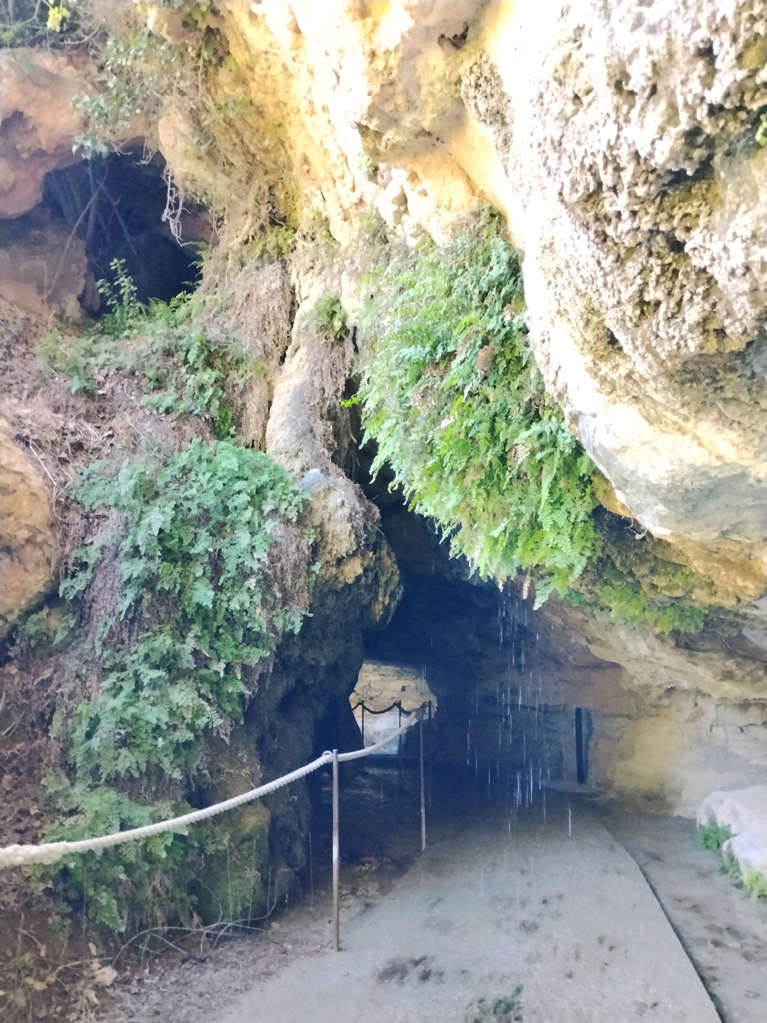 The image shows an outdoor pathway leading into a cave in Sant Quirze Safaja, Spain. The cave entrance is visible in the distance, framed by a rope barrier and metal railings. Water is dripping from the cave ceiling, creating a curtain of falling droplets. Lush green ferns and mosses grow abundantly on the rocky cave walls, which are illuminated by natural light. The ground is a gravel path with some dry leaves scattered on it.