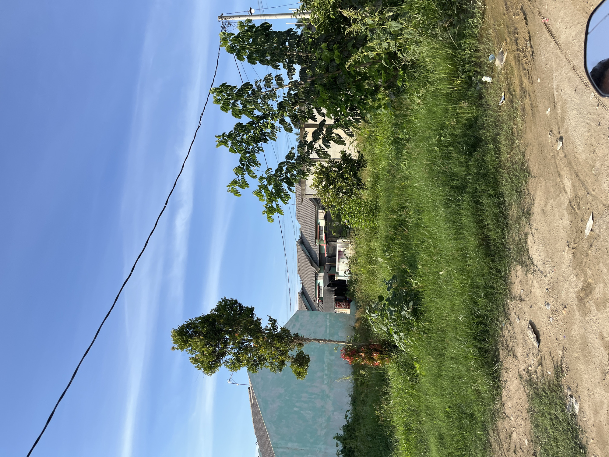 The image depicts an outdoor scene with a clear blue sky and scattered white clouds. In the foreground, there is a dirt path with some scattered debris, including a gray, elongated object that could be a piece of plastic or driftwood. To the left of the path, a patch of vibrant green grass grows. Further back, more grass and various types of vegetation are visible.
Dominating the mid-ground is a pale blue, rectangular building with a gray roof. To the left of this building, a tall, slender tree with lush green foliage stands prominently. Next to it, a smaller plant with bright red leaves adds a splash of color. Beyond the blue building, a row of houses with gray roofs stretches across the scene, suggesting a residential area. Some of these houses appear to be under construction or have unfinished elements.
In the right mid-ground, several trees with dense green leaves are present, some reaching towards a power line that stretches diagonally across the upper portion of the image. A utility pole with a light fixture is also visible. The overall environment suggests a partly developed area, possibly on the outskirts of a city or town, with a mix of natural vegetation and residential structures. The presence of the power line and houses indicates a human-inhabited area, possibly the city of Landuh, Indonesia, based on the prompt's context. The scene is bathed in bright sunlight, casting shadows and highlighting the textures of the ground and foliage.