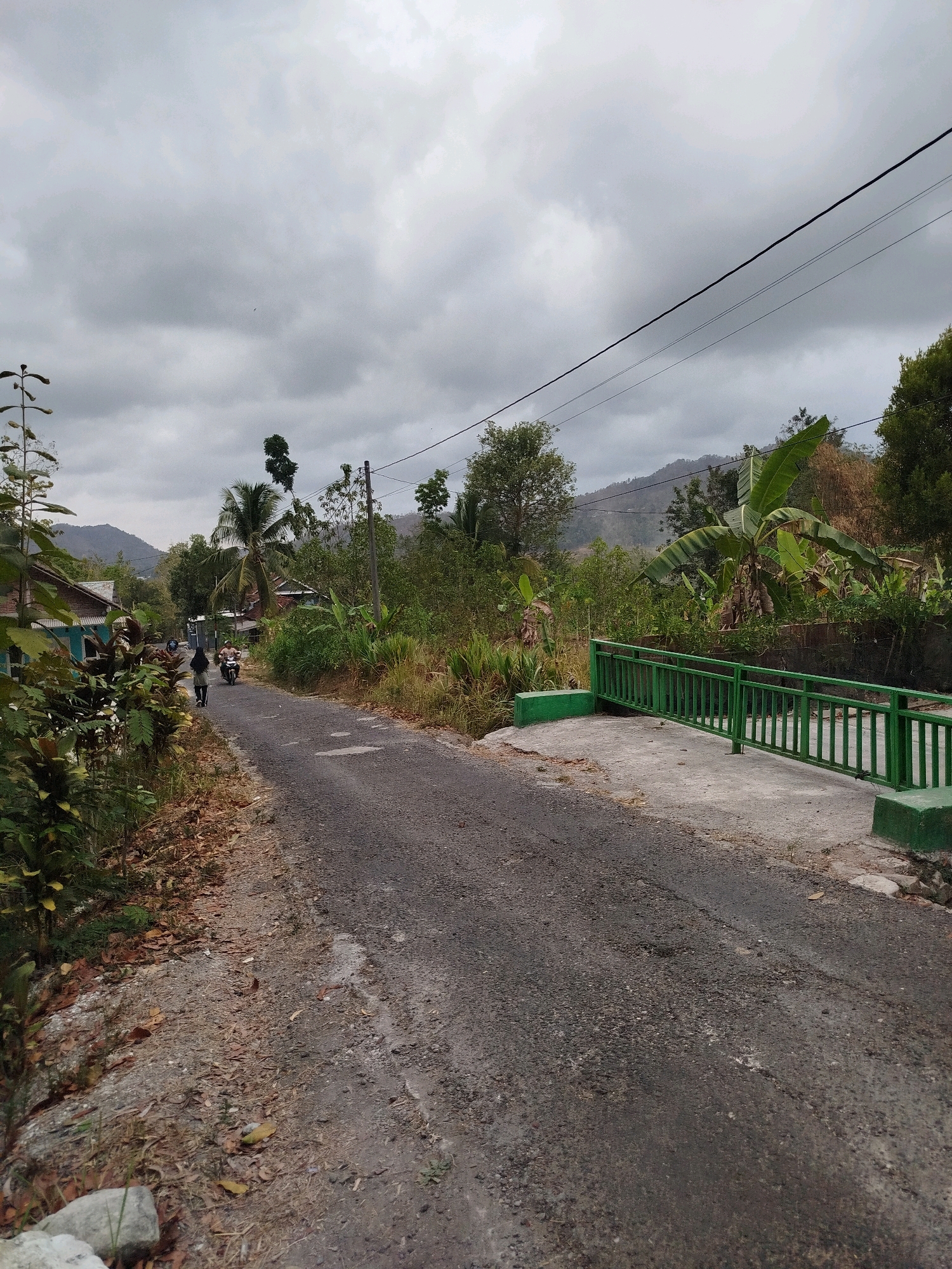 The image depicts a rural road in Widoro, Indonesia, under a cloudy sky. The road is paved with asphalt and shows signs of wear, with some potholes and patches. On the left side of the road, there are houses with tiled roofs and lush vegetation, including trees and shrubs. A few people are visible on the road, with two individuals walking and one riding a motorcycle. The road leads towards a slight incline, with hills and more vegetation in the background. On the right side of the road, there is a green metal railing along a concrete structure, possibly a small bridge or embankment. The overall atmosphere is that of a typical village scene in Indonesia, with a focus on the natural landscape and local life.