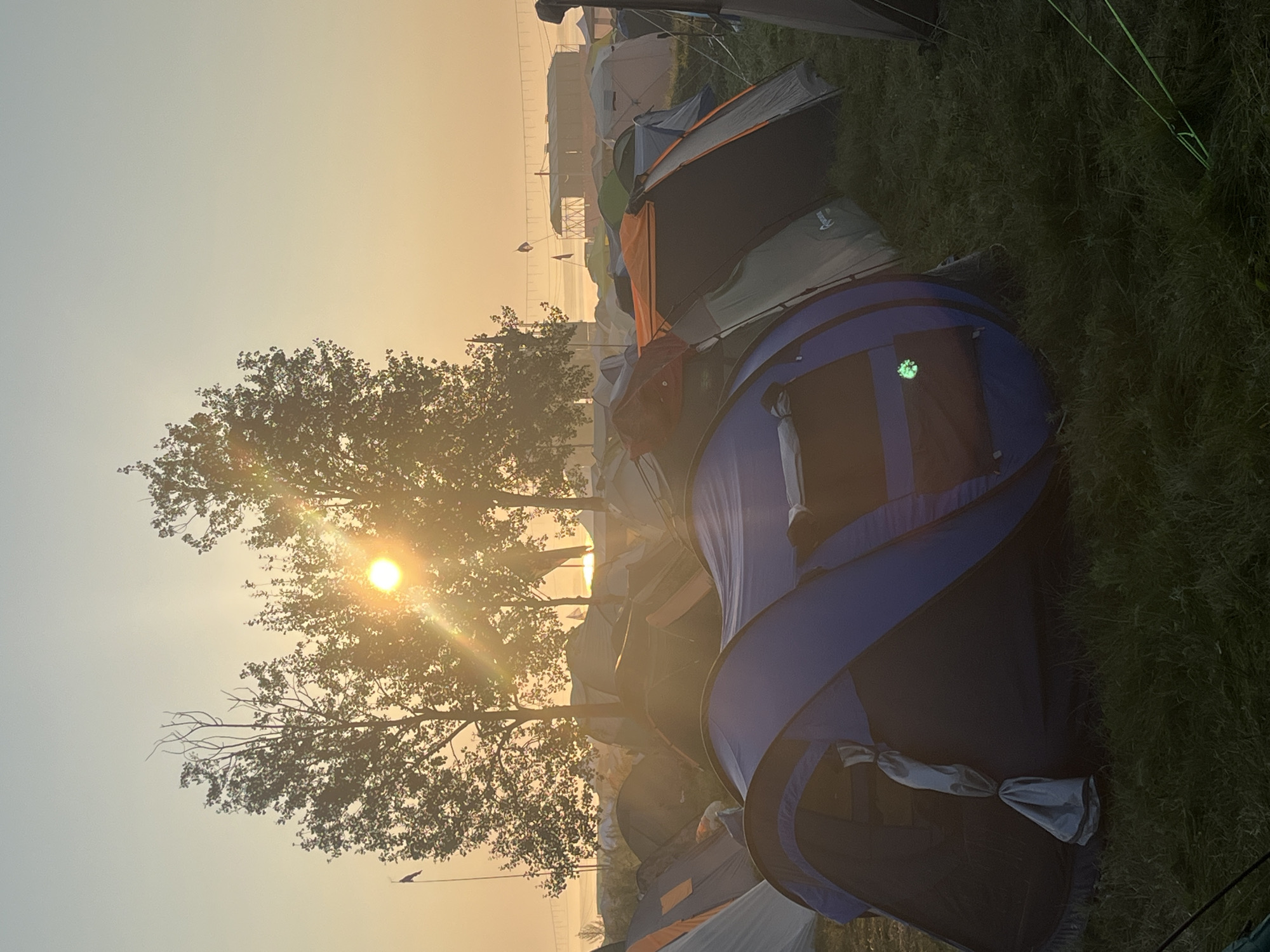 The image depicts a campsite at sunrise in Surakovo, Russia. Numerous tents are set up on a grassy field. The sun is low in the sky, casting a warm glow and creating lens flares through the trees in the background. In the distance, there appears to be some sort of structure on the water and a line of lights. The overall scene suggests an outdoor event or festival. There are no people visible in the image.