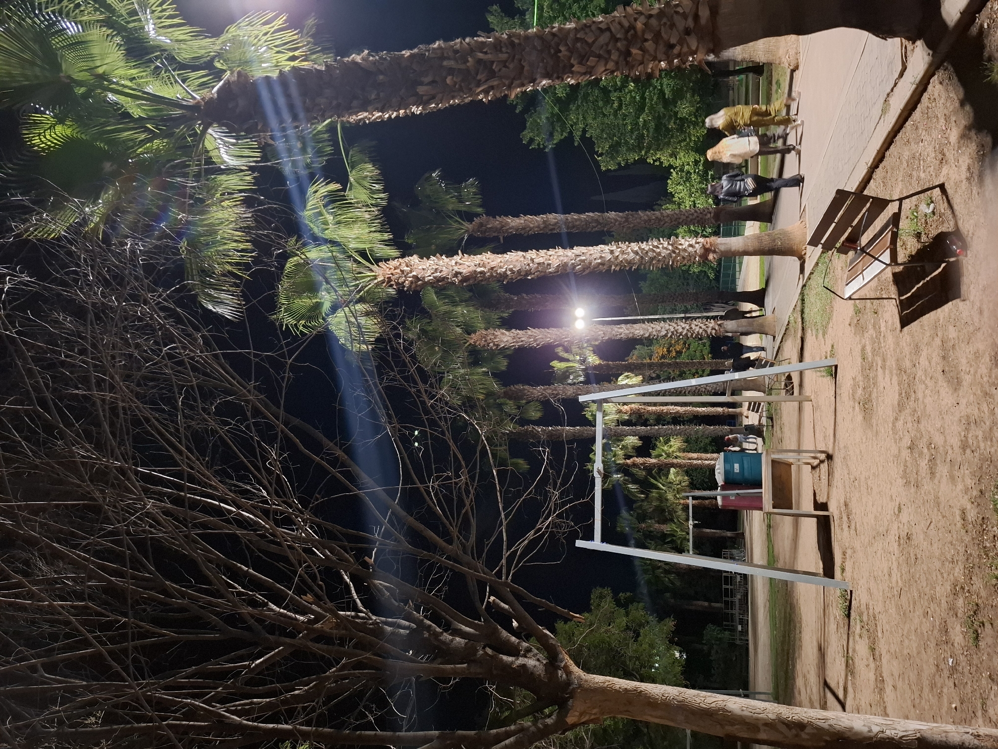 The image depicts a nighttime scene in Xirivella, Spain, likely in a park or public area. A row of palm trees lines a pedestrian walkway illuminated by streetlights, creating bright shafts of light through the foliage. In the background, several people are walking along the path. To the right, a park bench casts a shadow on the dirt ground. In the foreground, bare tree branches form a dense network against the dark sky. The image includes what appear to be semi-permanent structures, potentially for events, and portable toilet units.