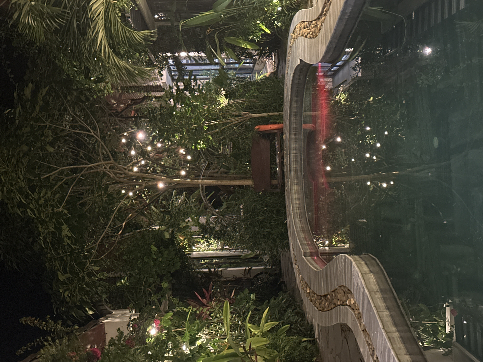The image depicts a tranquil nighttime scene in a garden setting, likely within the city of Nam Hoa Lư Ward, Vietnam. In the foreground, a dark, still pool of water reflects the ambient light from string lights illuminating the lush greenery surrounding it. The pool has a curved edge, lined with smooth, light-colored stones and a darker border. Beyond the pool, a wooden bench is positioned amidst dense vegetation, with a single vertical orange object leaning against a tree trunk. Various plants, including broad-leafed species and trees with exposed branches, create a natural canopy. The presence of numerous small, luminous string lights, strung between trees and branches, suggests a decorative or atmospheric lighting arrangement. The overall impression is one of a serene, outdoor space designed for relaxation, possibly a courtyard or a garden attached to a dwelling or establishment.