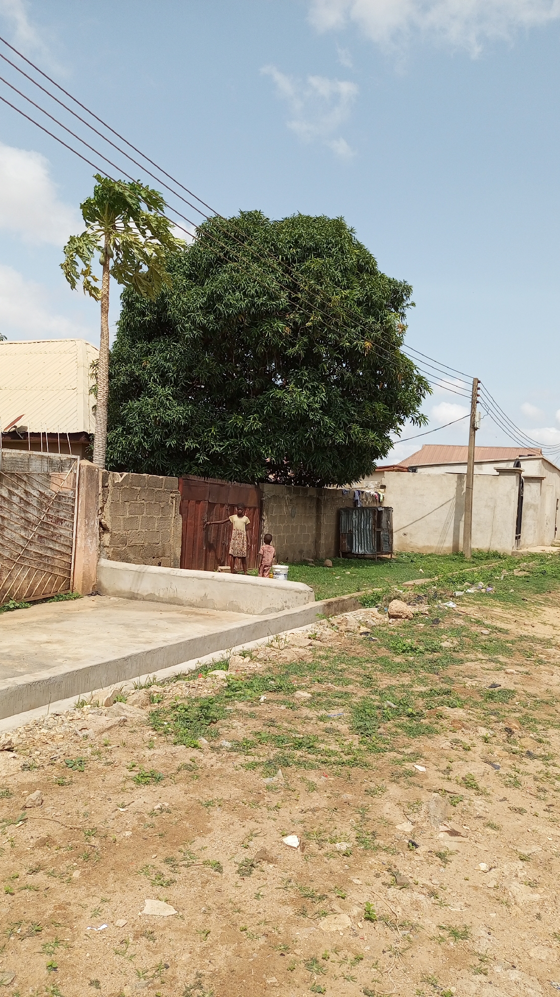 The image depicts an outdoor scene in Sabon Tasha, Nigeria. Two children stand near a brown metal gate attached to a partially constructed cinder block wall. A large, full tree dominates the background behind the wall, with a papaya tree to the left. Various buildings with corrugated metal roofs are visible in the background. Power lines run across the sky. The foreground consists of dirt with sparse grass. A concrete sidewalk and curb are present near the gate. The sky is clear with scattered clouds.