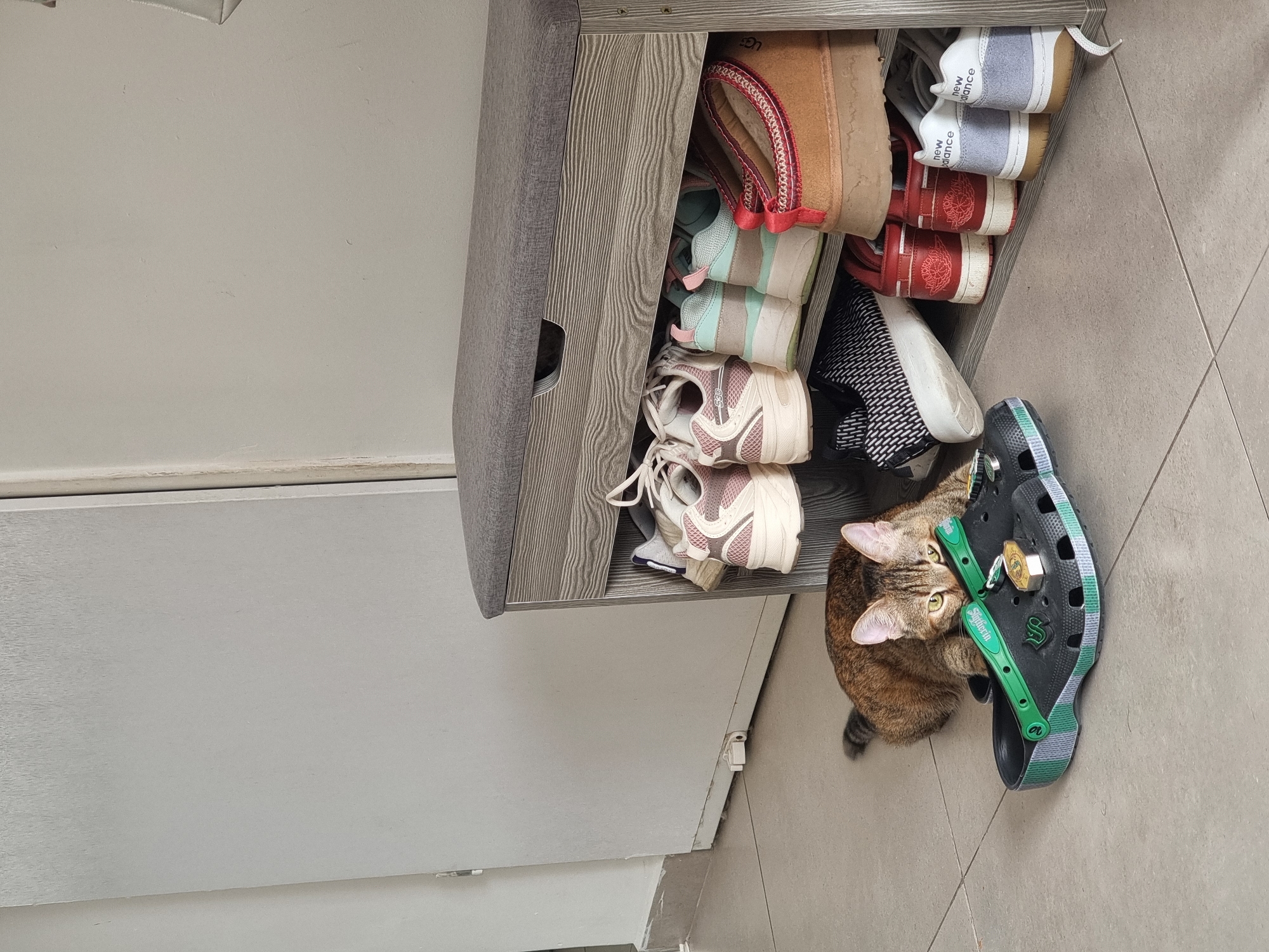 The image shows a gray shoe cabinet partially open, revealing various shoes. A tabby cat is near a pair of black Crocs with green trim and Harry Potter decorations, located on the floor. The environment appears to be an indoor setting, likely a residential home, based on the proximity to the cabinet and tiled floor. The location is Ramat Gan, Israel.