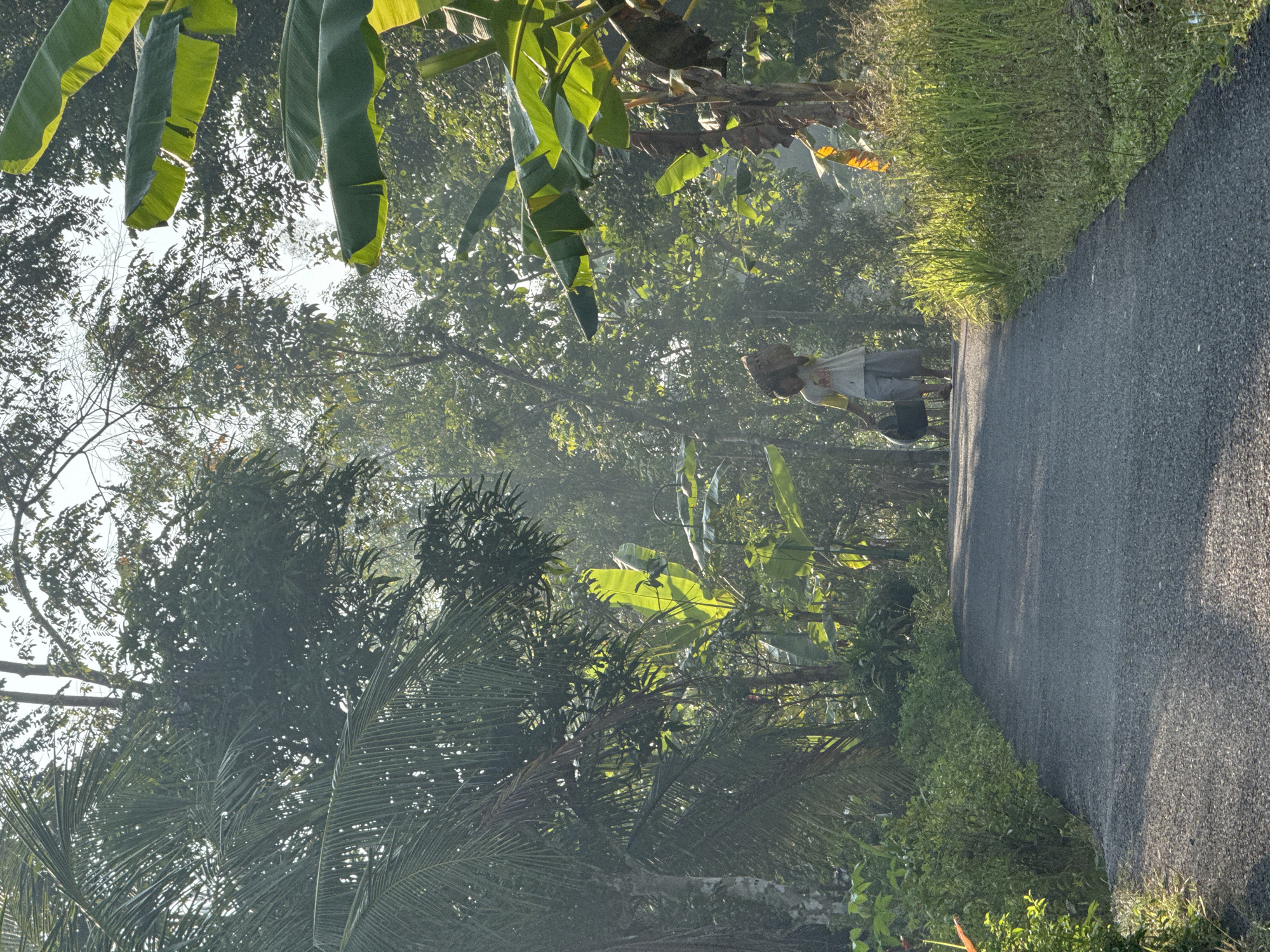 A person walks down a paved road lined with lush green vegetation and trees. The person is carrying a basket on their head and a dark bag in their right hand. The scene is illuminated by the sun, casting long shadows across the road. The location is identified as Alian, Indonesia.