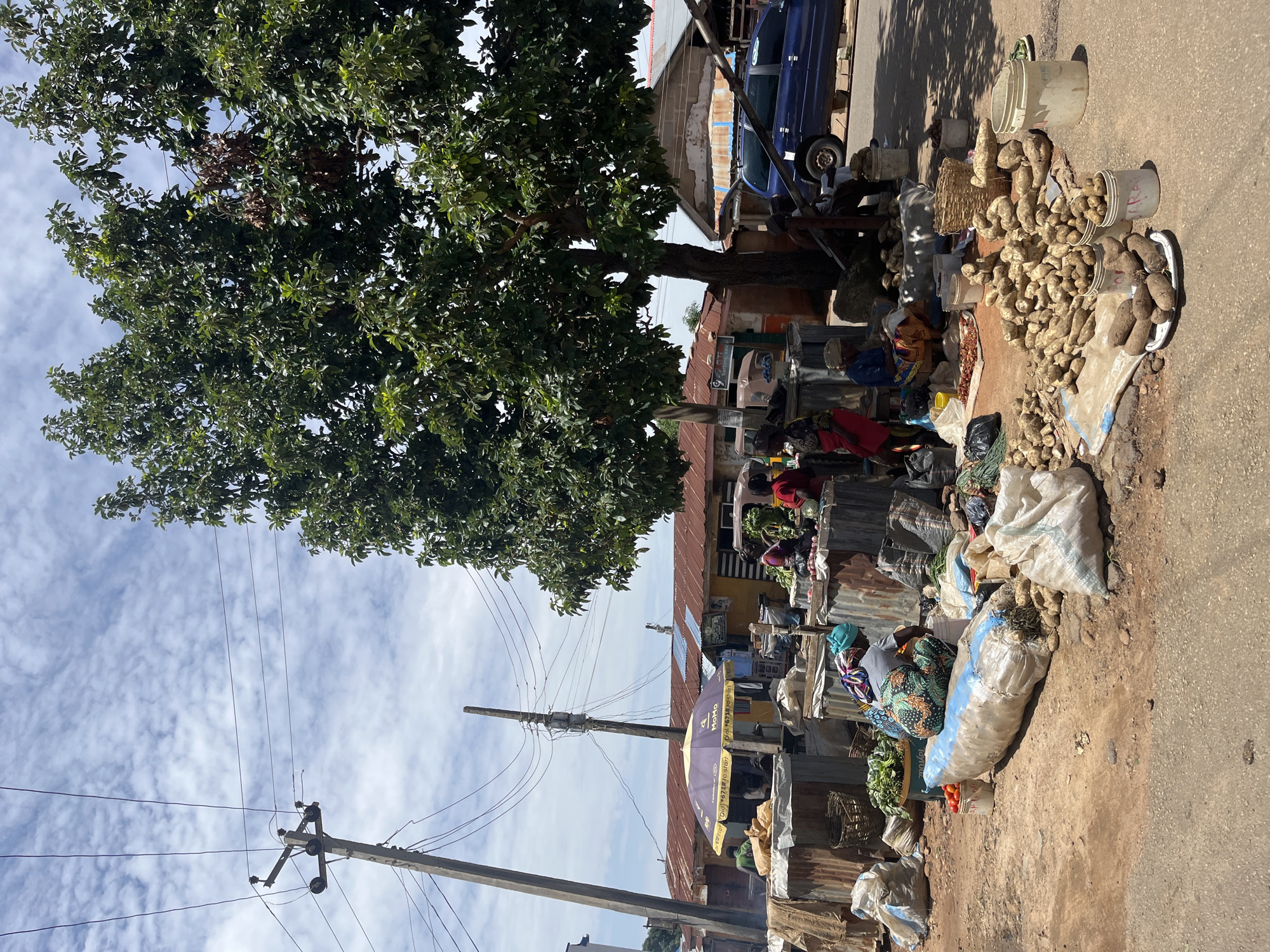 The image depicts a bustling outdoor market scene in Jos, Nigeria. The primary subjects are a collection of people, likely vendors and shoppers, engaged in market activities. Various objects are visible, including piles of root vegetables, sacks of produce, baskets, buckets, and a blue car parked in the background. The setting is an open-air market with makeshift stalls, some constructed from corrugated metal, and a large tree providing shade. The ground is a mix of dirt and asphalt.
The activity appears to be ongoing trade, with people interacting around the displayed goods. The time of day seems to be midday, suggested by the strong shadows cast by the tree and structures. The weather appears to be sunny with a partly cloudy sky. The presence of power lines and poles, along with the style of buildings, are location cues. While emotions are not explicitly clear, the general atmosphere suggests a busy and active market.
There is visible text on a purple umbrella in the middle ground, which appears to be an advertisement for "MOMO," a mobile money service. The text below it is in a local language. The overall impression is of a lively, local marketplace showcasing agricultural produce.