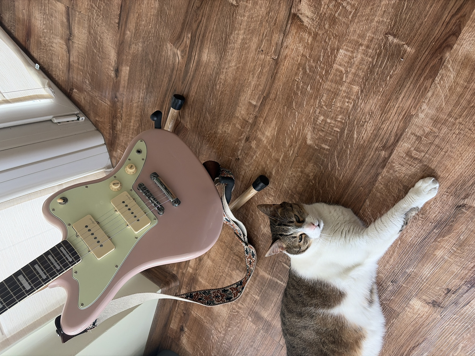 An indoor, high-angle, eye-level shot shows a pink electric guitar on a stand and a domestic shorthair cat lying on a wooden floor. The guitar is a light pink color with a light green pickguard. It has a strap with a colorful, patterned design. The cat is a tabby with white markings on its chest and paws, and it is lying on its side with its head turned toward the camera. The floor appears to be made of laminate or wood planks. The scene is illuminated by natural light coming from an unseen window.
