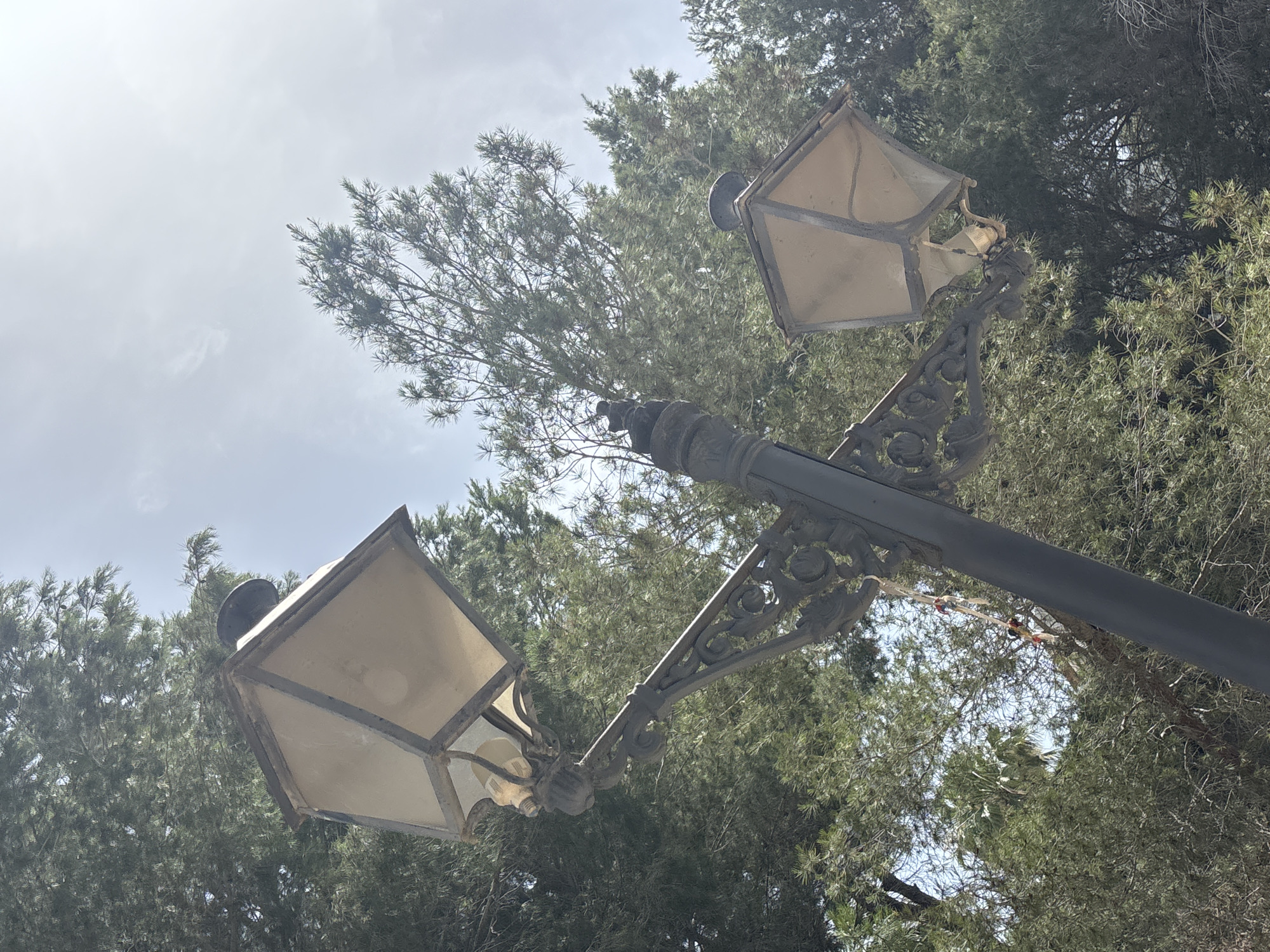 The image shows a detail of an ornate, old-fashioned lamppost with two lamps, set against a backdrop of lush green trees and a cloudy sky. The lamppost is made of dark metal with decorative scrollwork. Both lamps are of a similar design, with glass panels and visible light bulbs. One lamp is angled towards the viewer, while the other is positioned further up and to the right. The trees appear to be evergreen, possibly pine trees, with dense foliage. The sky is overcast, suggesting a cloudy day. The lighting indicates it is daytime, likely mid-morning or afternoon. The style of the lamppost hints at a historical or traditional setting, possibly a park, garden, or old town street in Orihuela, Spain. There are no people visible in the image. The focus is on the weathered beauty of the lamppost and its natural surroundings. A few colorful ribbons or streamers are tied to a part of the lamppost, adding a small, unexpected element of decoration or celebration.