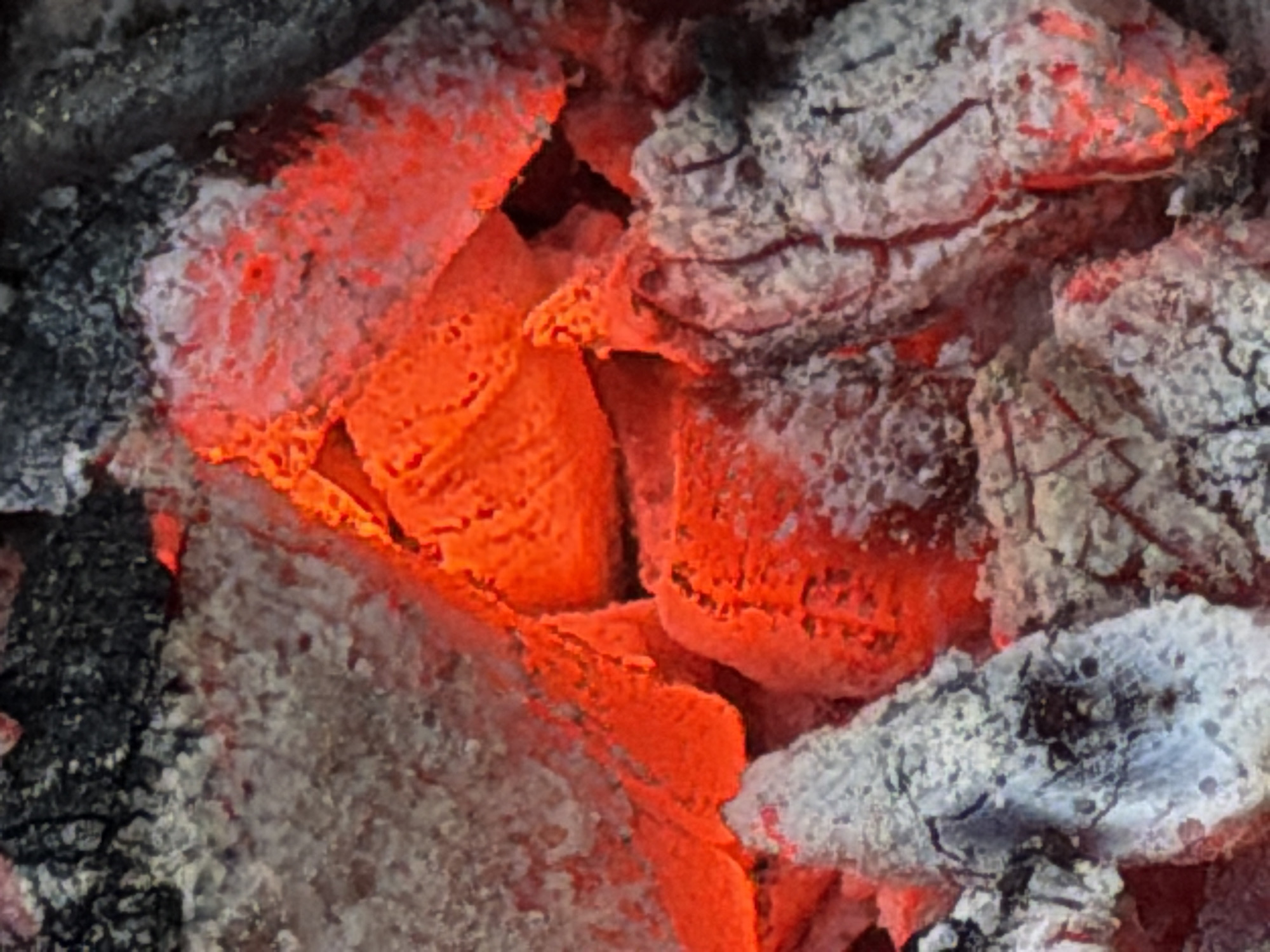The image shows embers and ash, suggesting the remains of a fire. The embers glow red-orange, while the ash is gray and white. The composition is tightly cropped, focusing on the texture and color contrasts. The location in Ol'khovo, Russia, is not evident from the image itself.