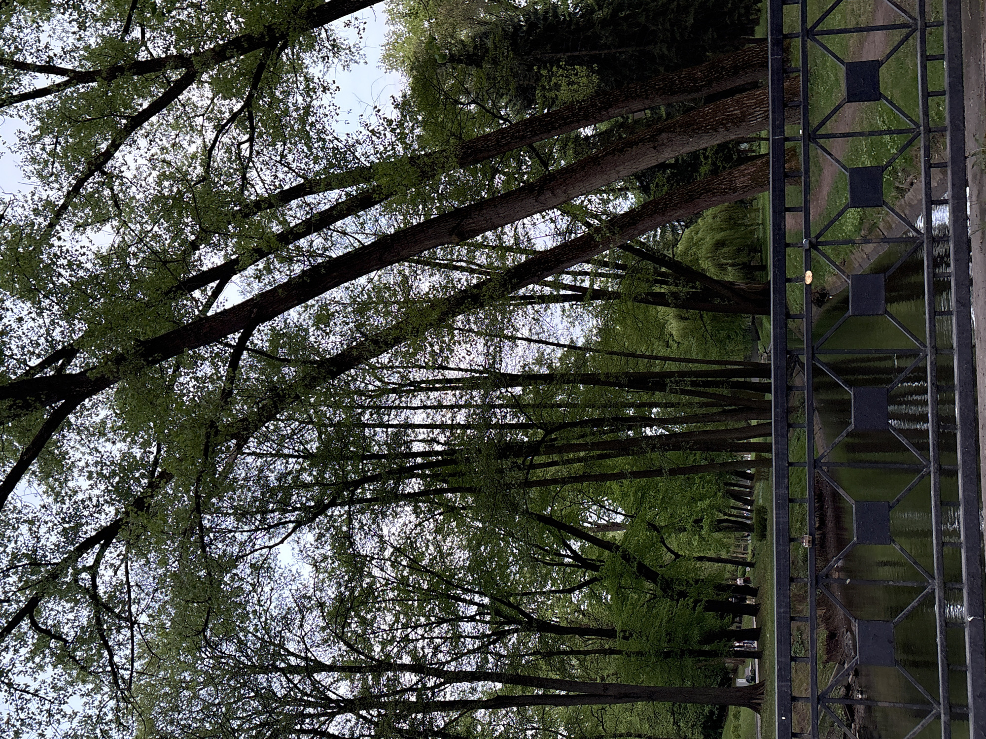 The image depicts a park in Minsk, Belarus. A wrought-iron fence runs vertically along the right side of the frame, partially obscuring a view of a narrow body of water. Beyond the water, a grassy bank lined with trees is visible. In the distance, figures of people can be seen along a path. Overhead, tree branches with green leaves form a canopy that partially obscures the sky.