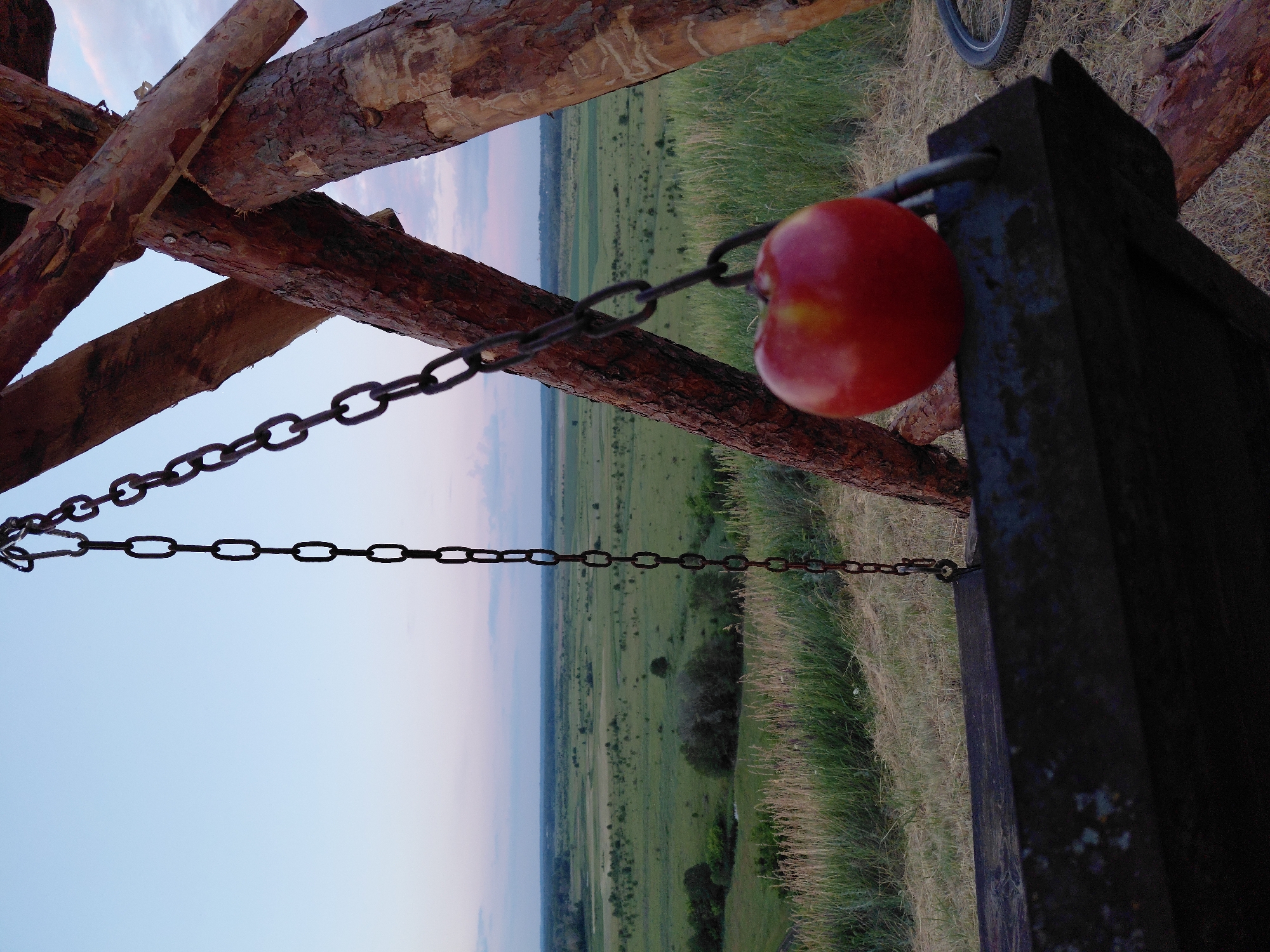 In the city of Ustyvytsia, Ukraine, an apple hangs from a chain of a wooden swing. The swing is made of rough-hewn logs. The background shows a vast expanse of green fields and trees under a pale, twilight sky. The foreground is dominated by the dark wood of the swing seat and the bright red apple. The lighting suggests it is either early morning or late evening.