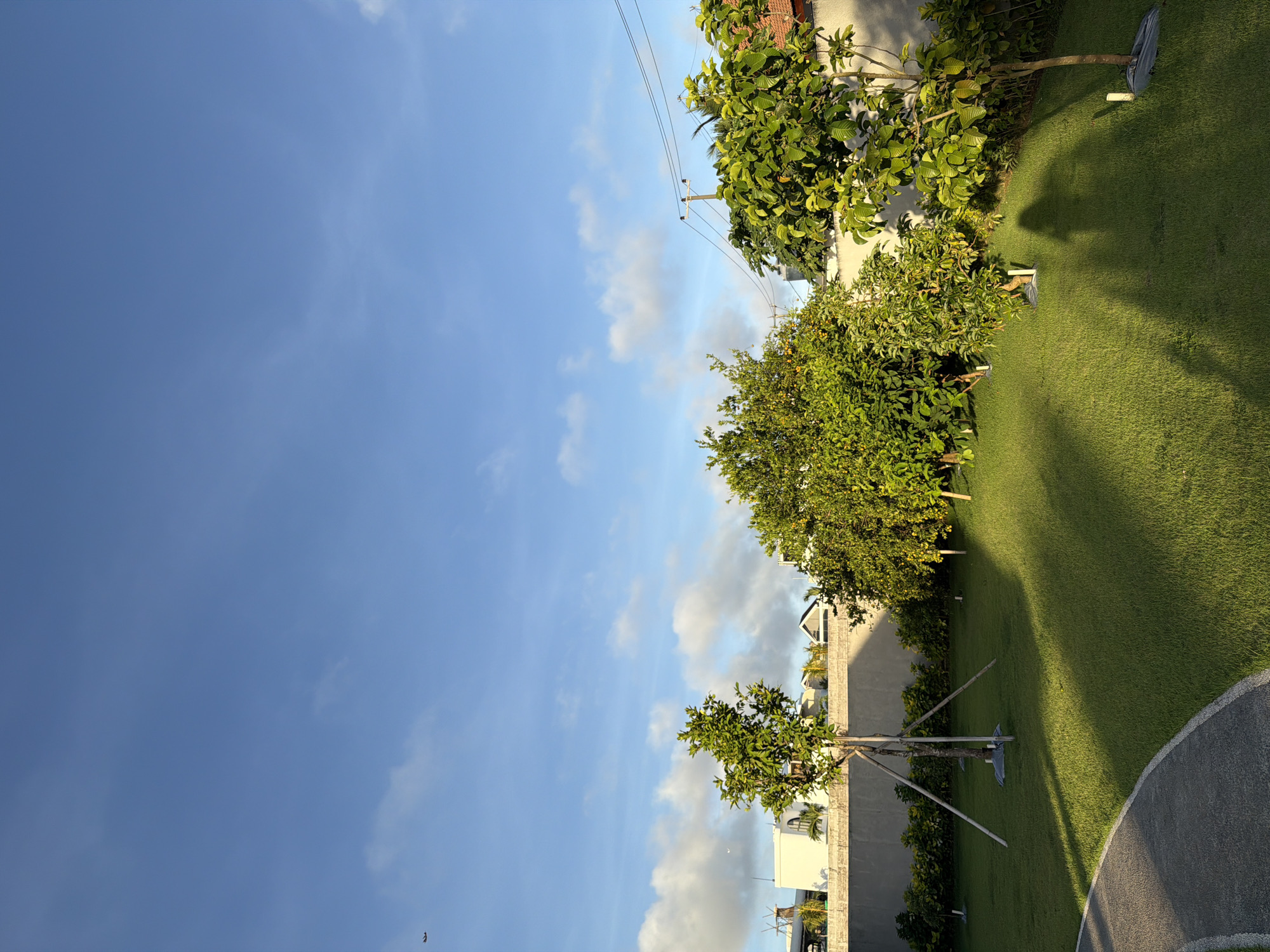 The image depicts a park or garden area in Kuta Selatan, Indonesia. The sky is blue with scattered clouds. The vegetation consists of green grass and various trees. Some trees are supported by wooden props. A gray pathway borders the grassy area. Buildings are visible in the background. The power lines, and electricity poles are seen on the right. No people are visible.