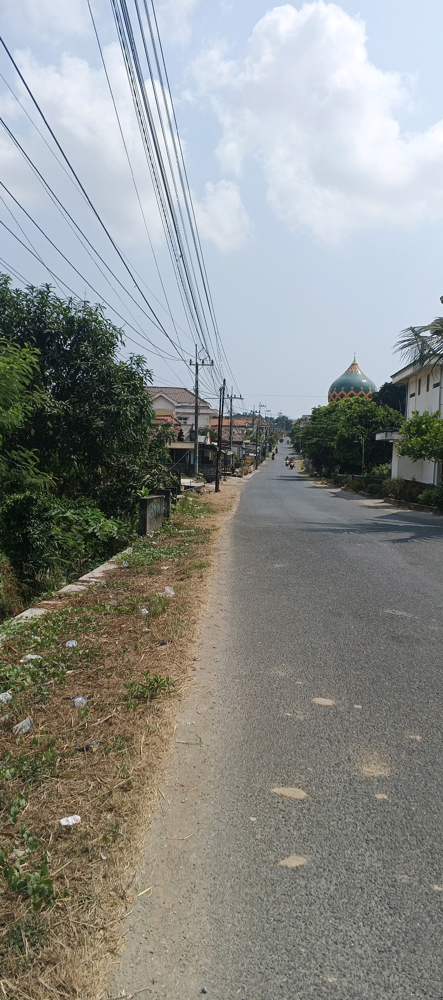 The image depicts a street scene in Bluri, Indonesia. The road, which appears to be asphalt, stretches into the distance and is lined with trees and houses. Overhead, a complex network of power lines crisscrosses the sky, supported by utility poles. On the left side of the road, there is a grassy embankment with some dry vegetation and scattered litter. Buildings line the right side of the road, including what appears to be a mosque with a distinctive green and gold dome. Several motorcycles are visible on the road, suggesting ongoing traffic. The sky is partly cloudy with a bright, clear horizon. The overall impression is that of a residential or suburban area in Indonesia on a sunny day.