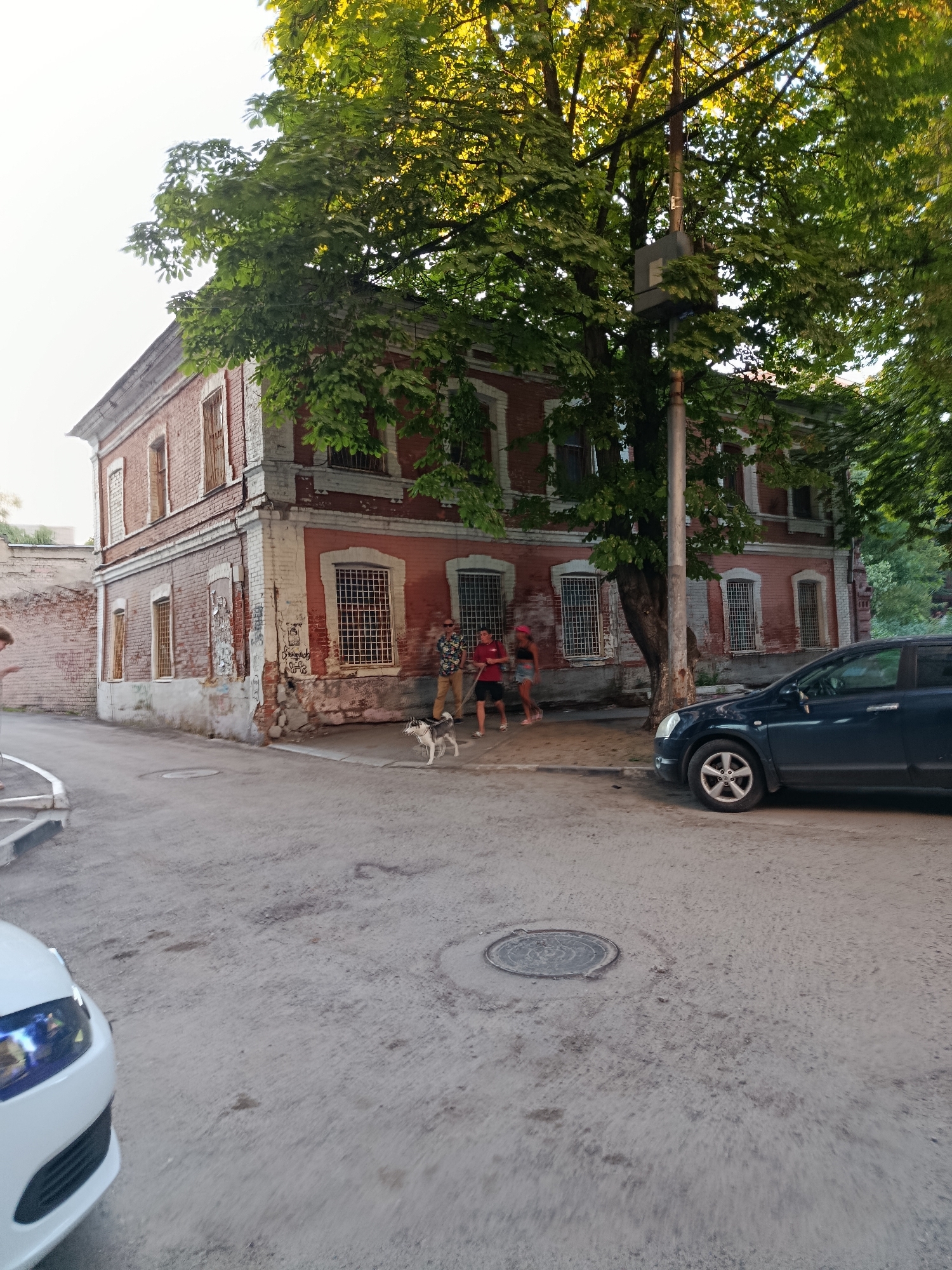 The image depicts a street scene in Saratov, Russia, on a cloudy day, likely late afternoon or early evening given the lighting. The primary subject is an old, two-story brick building with signs of age and disrepair, including peeling paint and visible brickwork. The building has multiple windows, many of which are covered with metal grates.
In front of the building, a dark blue car is parked on the right side of the frame. On the sidewalk area, three people are visible. One person, a male, stands with their back to the camera, wearing a patterned shirt and khaki pants, holding a leash attached to a medium-sized dog, possibly a husky, that is looking towards the viewer. Two other individuals, a male and a female, are further down the sidewalk, partially obscured by trees. The female appears to be wearing a pink hat.
In the foreground, the front of a white car is partially visible on the left side, facing away from the camera. The street is paved with asphalt, and a manhole cover is visible in the road. Tall trees with dense green foliage are prominent in the scene, casting shadows and framing the building. The overall atmosphere suggests a residential or possibly a commercial area with historical architecture. No visible text is present in the image.