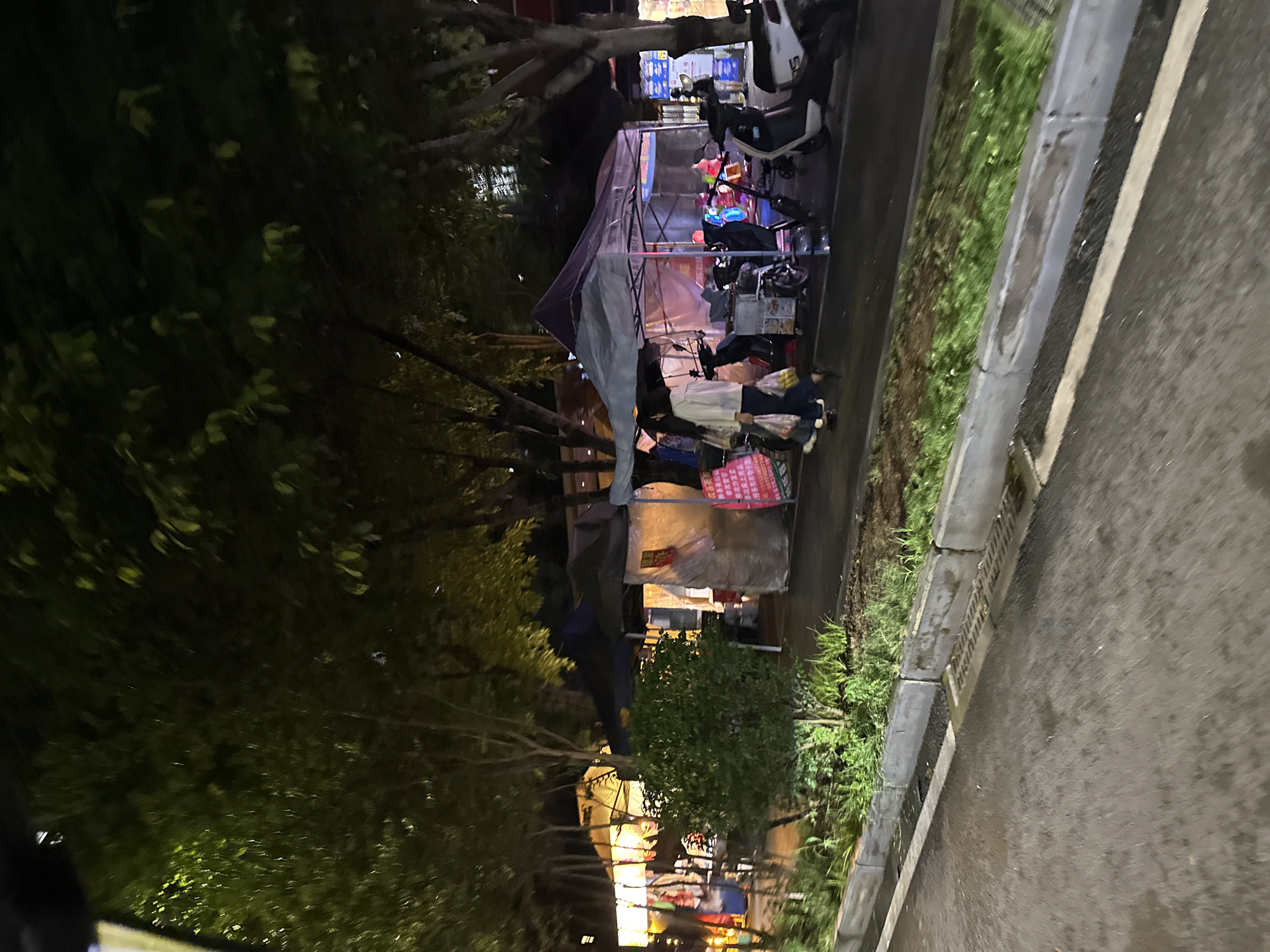 The image depicts a street scene at night, likely in the Chongqing High-tech Zone, China, characterized by an outdoor market. Several stalls are set up with canopies, some illuminated by artificial light, casting a warm glow on the surroundings. Various items are displayed for sale within the stalls, though their specifics are not discernible.
In the foreground, a wet asphalt road with a drainage grate and a concrete curb is visible, suggesting recent rain or cleaning. Adjacent to the curb is a strip of greenery, with some plants appearing lush and well-maintained, while other areas show patches of soil and dry vegetation.
Several motorcycles and electric scooters are parked near the stalls, some appearing to be for sale or personal use by vendors. A few individuals are present, with one person walking away from the camera on the sidewalk, carrying bags. Another individual is partially visible in the background, near one of the stalls. The overall atmosphere is that of a bustling night market, with the presence of trees contributing to the urban landscape. The lighting suggests it is after dusk, and the wet road surface indicates a humid or damp environment.