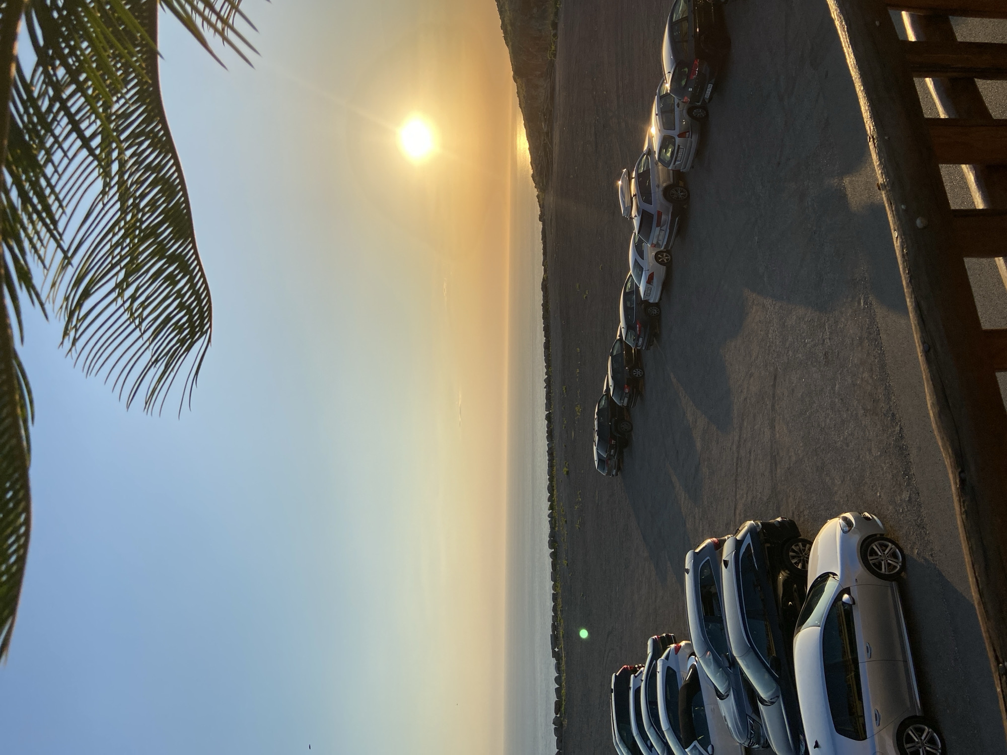 A vertical, eye-level, medium shot captures a sun-drenched parking lot overlooking the ocean, likely in Kovačko Polje, Montenegro. The sun hangs low in the sky, casting a golden glow on the water and the surrounding landscape. A large palm frond occupies the top portion of the frame, framing the scene from above. The parking lot is filled with various cars, including SUVs and sedans, parked in neat rows. The ground is a mix of asphalt and gravel. In the distance, the vast expanse of the ocean meets the horizon, with a few scattered rocks lining the coastline. The sky transitions from a pale blue at the top to a warm orange and yellow hue near the horizon, indicating either sunrise or sunset. The scene is serene and peaceful, with no people visible.