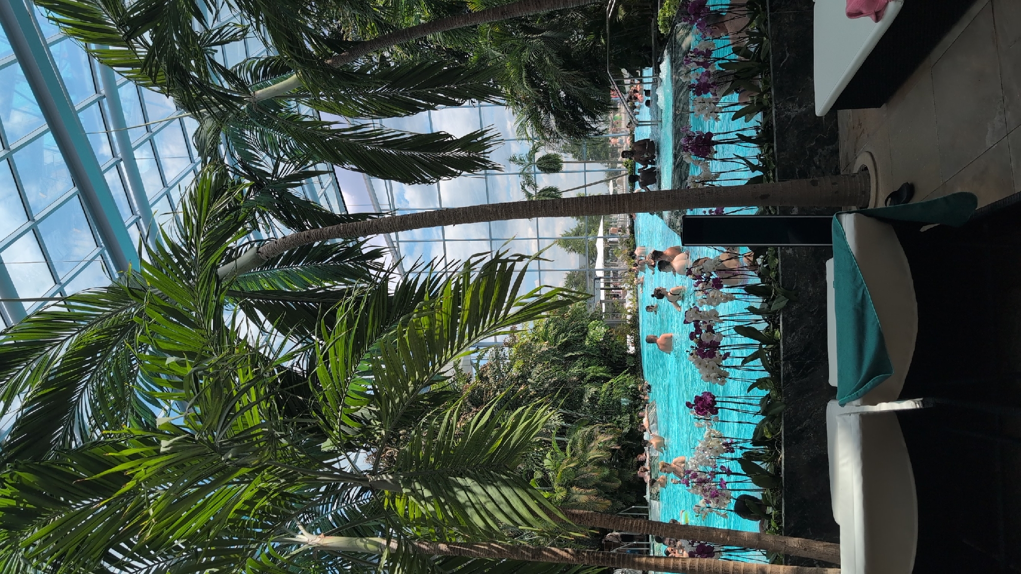 The image depicts an indoor swimming pool area with a glass ceiling, surrounded by lush tropical foliage, including several tall palm trees. The pool is filled with clear blue water and a number of people are swimming and relaxing in it. White lounge chairs are visible in the foreground. The scene suggests a resort or spa environment. The location is identified as Săftica, Romania, implying this is an indoor aquatic facility within that area.