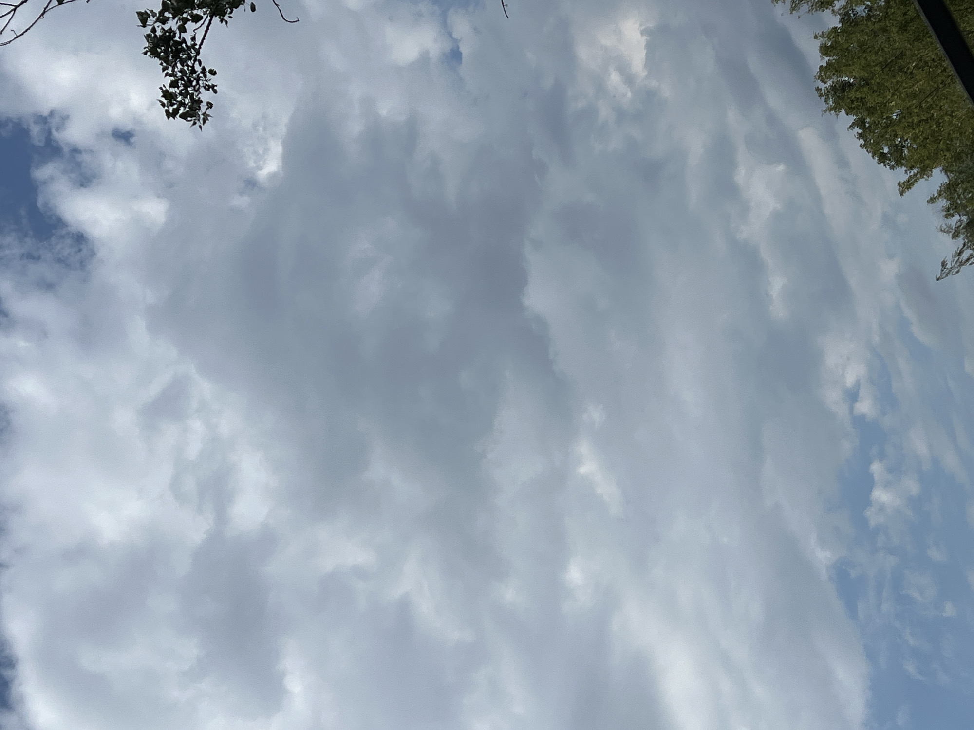The image shows a cloudy sky above Warsaw, Poland. There are large, grey clouds dominating the frame, with patches of blue sky visible in between. In the upper right corner, a branch of a tree with green leaves is visible. In the bottom right corner, the tops of more trees with dense green foliage are seen. The scene suggests an outdoor environment, possibly a park or residential area, on an overcast day.