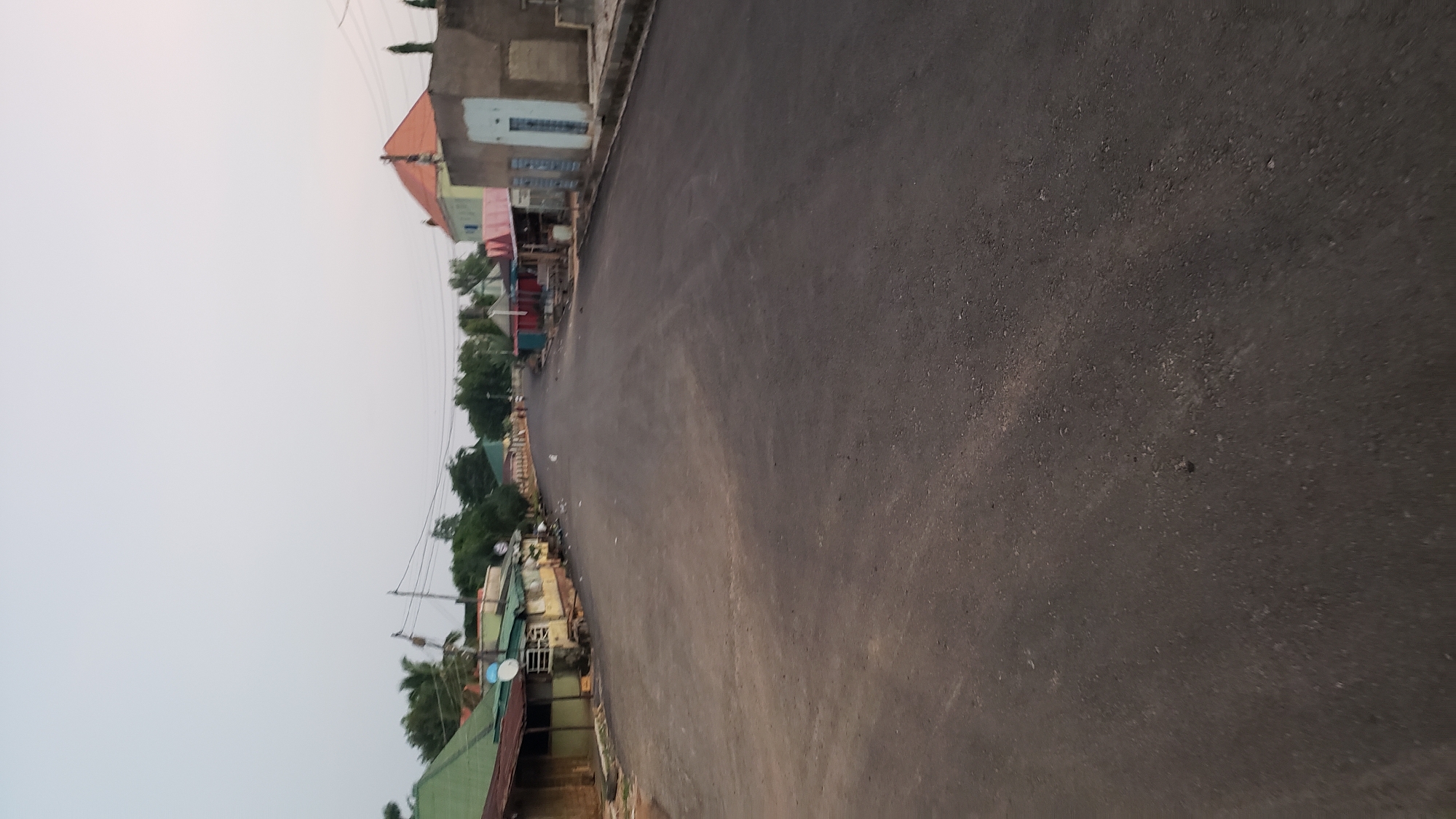 An asphalt road stretches into the distance, lined with buildings and trees. The sky is overcast. On the left, a row of single-story buildings with corrugated metal roofs are visible. On the right, a larger building with a red-tiled roof and a pale blue door is present, along with other structures. Some scattered white birds are visible on the road. The scene appears to be a street in a town or city.