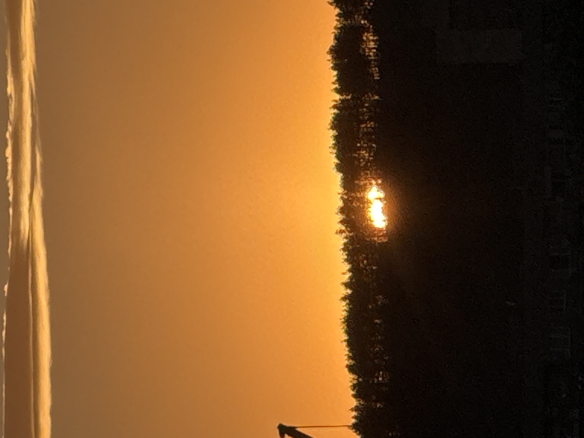 An upward-angled, medium shot captures a dramatic sunset over a silhouetted treeline. The sky is a vibrant gradient of orange, transitioning to a lighter hue at the top. A thin, luminous band of clouds stretches across the upper portion of the frame, catching the golden light.
Peeking through a gap in the dense, dark treeline, the sun is partially obscured, casting a bright, hazy glow. The treeline itself is a deep silhouette against the luminous sky, with individual trees and branches appearing as dark, textured shapes. To the far left of the image, a portion of a dark, angular structure, possibly a crane or part of industrial machinery, juts upwards from behind the trees, also silhouetted.
The lower portion of the image is dominated by an even darker silhouette, presumably indicating the ground or a lower landscape. The overall scene evokes a sense of calm and the natural beauty of the end of the day, with a hint of industrial presence on the left. The image does not provide specific details about the city of Pernik, Bulgaria.