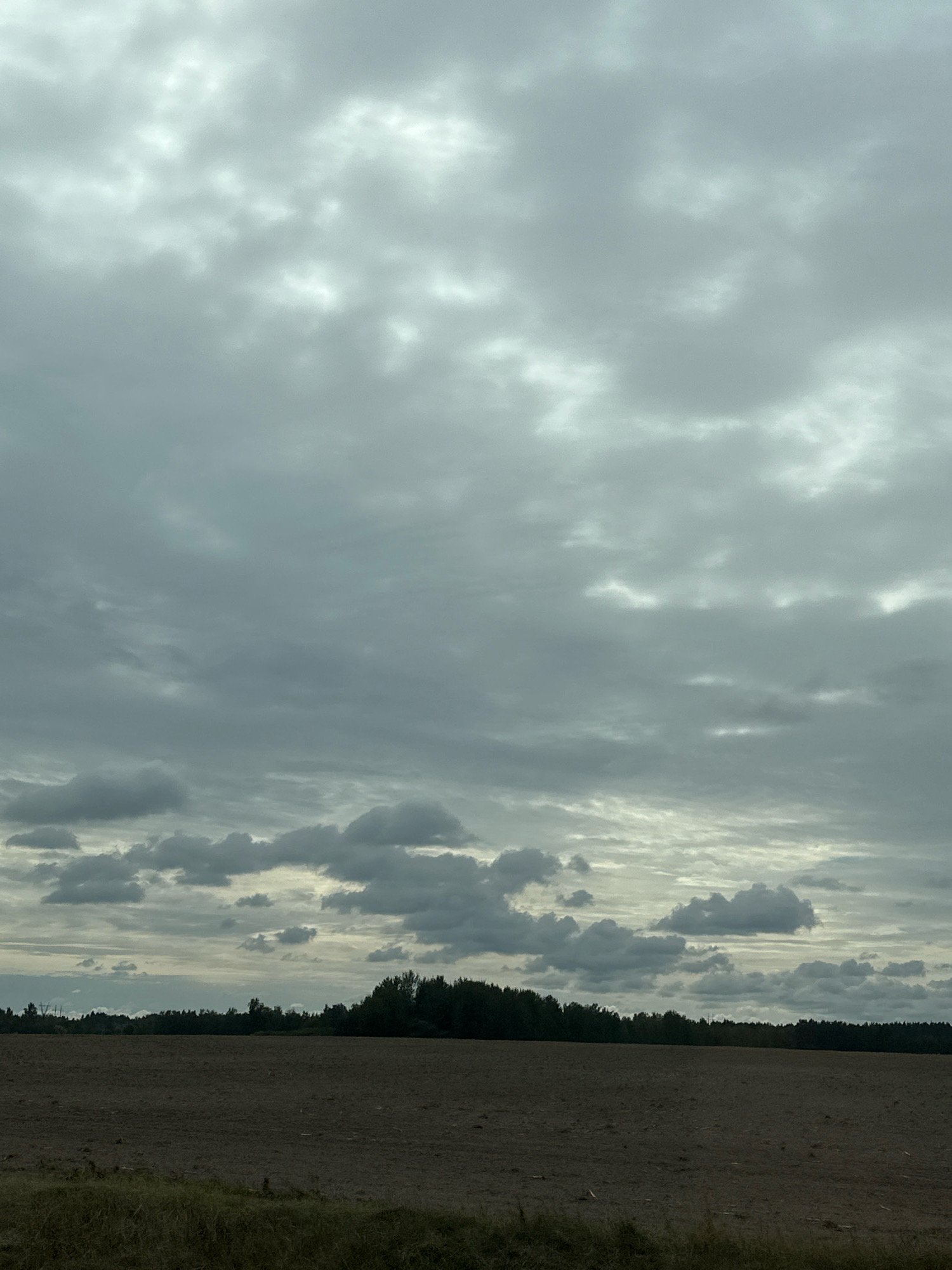 The image depicts a landscape under a cloudy sky, likely in the vicinity of Гарбацэвіцкі сельскі Савет, Belarus. The foreground is a dark, plowed field, indicating agricultural activity. A line of trees forms the horizon, with a dense forest extending across the middle ground. The sky is overcast with various shades of grey clouds, obscuring any direct sunlight. The overall impression is one of a rural, overcast day. There are no people or animals visible in the scene. The environment appears to be natural and agricultural.