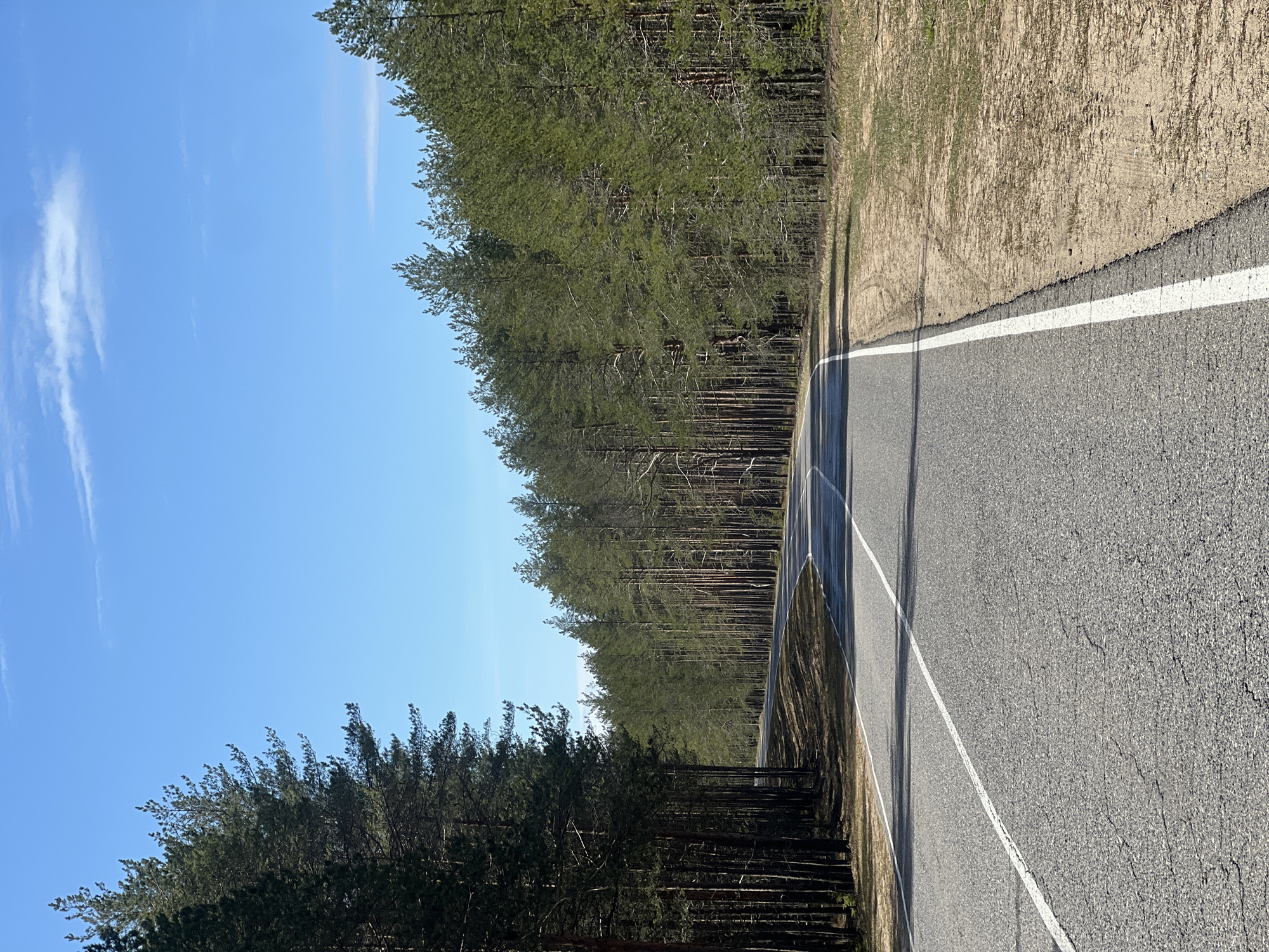 The image shows a paved road cutting through a forest landscape. A white line marks the edge of the road. The sky is blue with wispy clouds. The trees line both sides of the road. The road surface is asphalt. The right side of the road has a dirt shoulder. There are no people visible. The location is Чернышово, Russia.