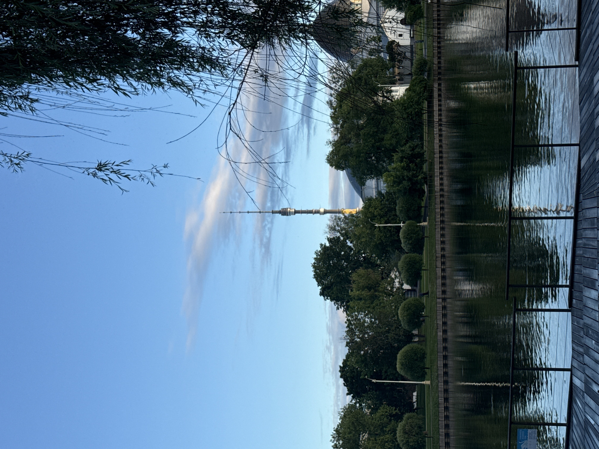 This image captures a view of the Ostankino Tower in Moscow, Russia, across a tranquil body of water, likely a pond or canal within a park. The tower, a prominent landmark, stands tall in the background, silhouetted against a pale blue sky with wispy clouds. Lush green trees line the far bank of the water, interspersed with some buildings, including a domed structure. In the foreground, a wooden deck with a metal railing overlooks the water, its surface reflecting the sky and surrounding greenery. Weeping willow branches hang into the frame from the upper right, adding a natural, organic element to the scene. The overall atmosphere is serene, suggesting a peaceful morning or early evening in a park setting. There are no people visible in the image.