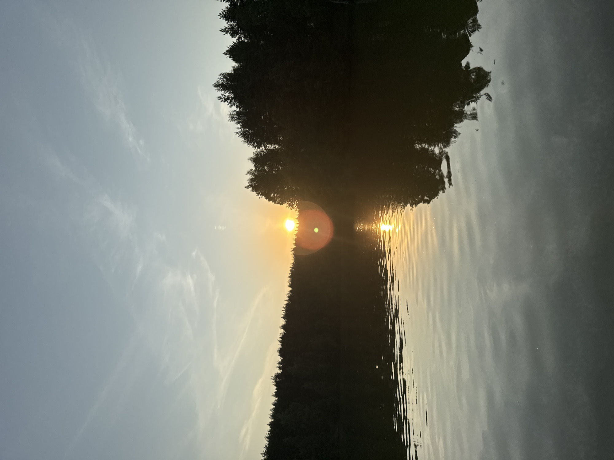 The image depicts a serene sunset over a body of water, likely a lake or a wide river, with a dense forest line forming the horizon. The sun, a bright orb with a distinct lens flare, is positioned slightly to the left of the center, casting a warm, golden glow across the sky and reflecting on the water's surface. The sky is a gradient of pale blue transitioning to a soft yellow near the horizon. Thin, wispy clouds are scattered across the upper portion of the sky. The water is calm, with gentle ripples creating a distorted reflection of the sky and the silhouette of the trees. The forest is a dark, almost black silhouette against the brighter sky, suggesting a thick canopy of coniferous trees. The overall atmosphere is tranquil and natural. The image does not contain any people or man-made structures, placing the scene in a natural environment. Without specific landmarks or identifiable features, it is impossible to determine the exact location within Ivanovo, Russia, however, the natural setting suggests an area outside the densely populated urban core.