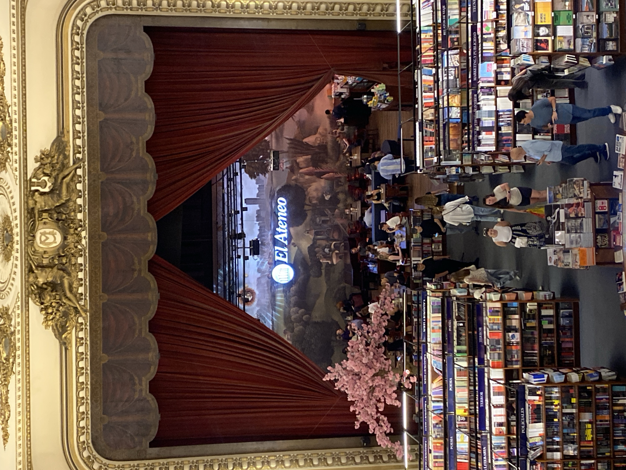 The image displays the interior of the El Ateneo Grand Splendid bookstore, located at Avenida Santa Fe 1860 in Buenos Aires, Argentina. The perspective is from an elevated vantage point, looking down into the converted theater space.
The upper section of the frame features a grand, ornate proscenium arch rendered in gold and white, adorned with classical figures and intricate moldings. A large, deep red velvet curtain is drawn open centrally, revealing the former stage area. This stage now functions as a cafe, populated by approximately 15 patrons seated at dark tables and chairs. The cafe's back wall is a large mural depicting a landscape of hills and a distant cityscape, with the illuminated "El Ateneo" logo prominently displayed in its center. A large artificial pink cherry blossom tree is positioned on the left side of the cafe area, and a counter, likely for service, is visible on the right.
Below the cafe, the main floor of the former theater has been transformed into a multi-level bookstore. Numerous tall, dark wooden bookshelves filled with books are arranged in aisles. Visible category signs include "POESIA," "TERROR," "POLICIALES," "NOVEDADES & ROMÁNTICA," "RELATOS DE VIAJE," "ARQUITECTURA Y DISEÑO DE INTERIOR," "MARKETING Y PUBLICIDAD," and "TECNICO." Approximately 15 individuals are dispersed throughout the bookstore aisles, engaged in browsing books, walking, or standing. Specific individuals include a man in a light blue shirt holding a book, a woman in a white top and dark patterned skirt walking through an aisle, and a man in a darker blue shirt standing near a bookshelf. The entire space is brightly illuminated.