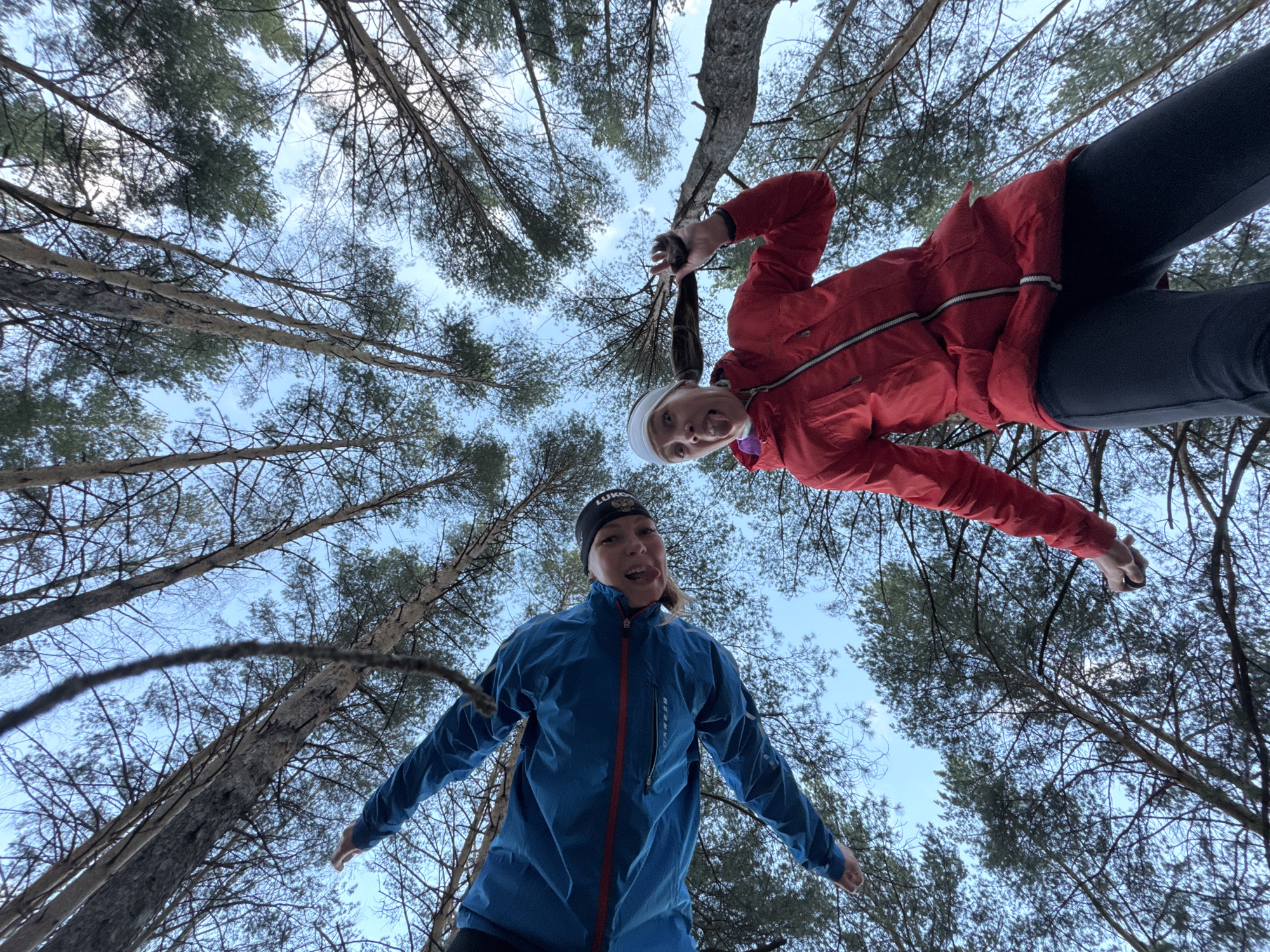 A low-angle outdoor shot captures two individuals looking down at the camera from above, set against a backdrop of tall pine trees and a clear blue sky. The perspective creates a sense of depth, with the tree trunks stretching upwards and converging towards the center.
The two subjects appear to be women. The individual on the right wears a bright red hooded jacket with a white zipper detail, black leggings, and a light-colored headband. She is smiling and playfully holding a long braid of her hair with her right hand. The individual on the left wears a blue jacket with a red zipper and a dark beanie. She is looking at the camera with a playful expression, sticking her tongue out.
The background is a dense forest canopy, with numerous evergreen pine trees reaching high into the bright, cloudless sky. The branches are detailed, showcasing needles and some bare limbs, suggesting a cool climate, possibly winter or early spring in Прикамский, Russia. The light indicates daytime. The overall mood of the image is joyful and informal, capturing a moment of outdoor activity.
Visible text on the beanie of the woman in the blue jacket appears to be "LUKA" in Latin script, followed by Cyrillic characters that resemble "ЛУКА" (LUKA) and possibly "СКИ", along with a small emblem or logo.