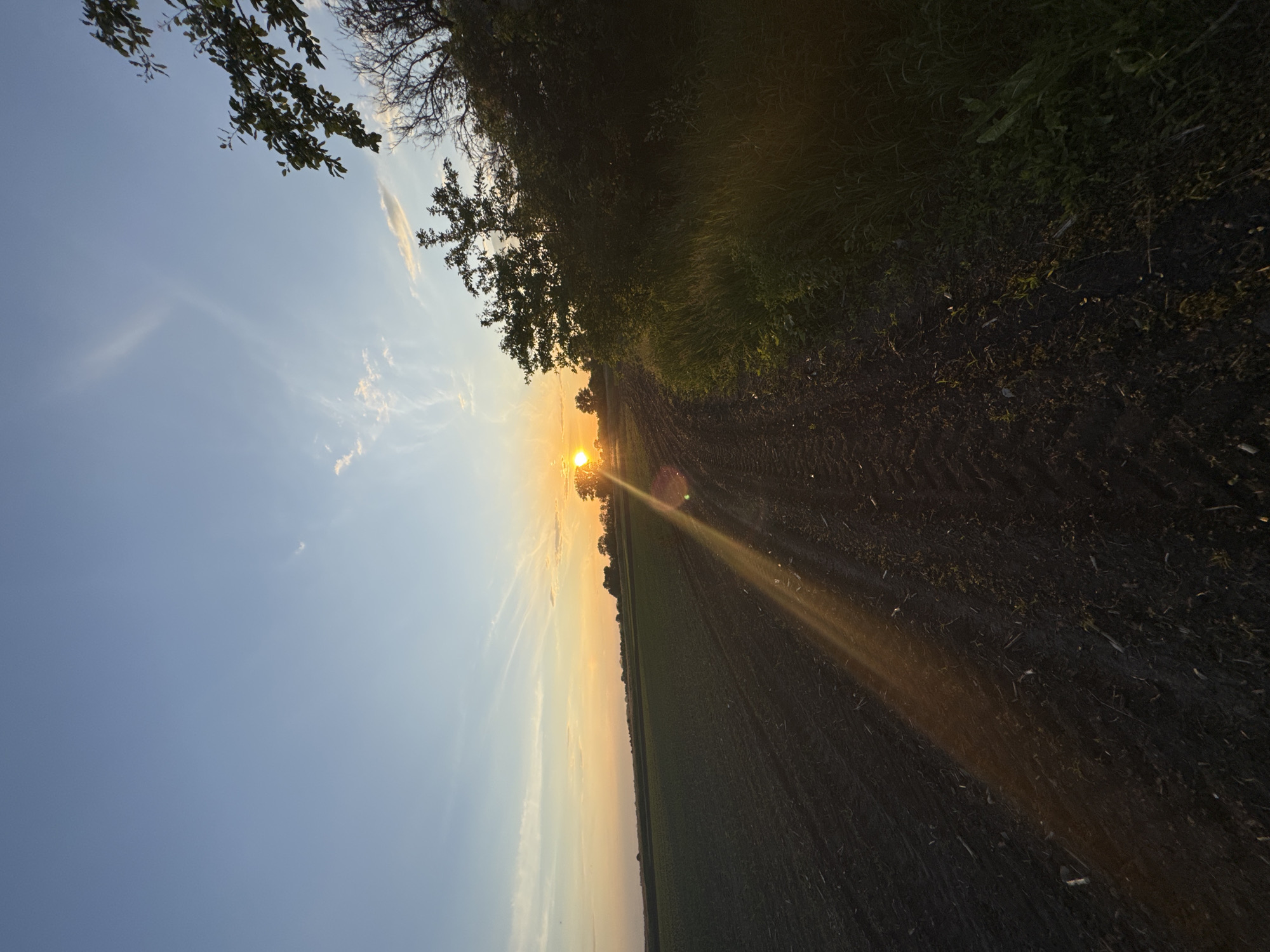 This image depicts a rural sunset scene in Ohuivka, Ukraine. The sky transitions from a light blue at the top to vibrant orange and yellow hues near the horizon, with sparse, wispy clouds and faint contrails visible. The sun, a bright orange disc, is low on the horizon towards the right, partially obscured by a distant tree line, and generates a distinct lens flare diagonally traversing the lower left of the frame. The foreground primarily features a dark, tilled agricultural field on the left, exhibiting parallel furrows. To the right, the ground is covered with denser green grass and foliage, leading to a thick cluster of bushes and trees that create a dark silhouette against the sky. A leafy branch extends into the upper right corner. No individuals, animals, or artificial structures other than the cultivated land are present.