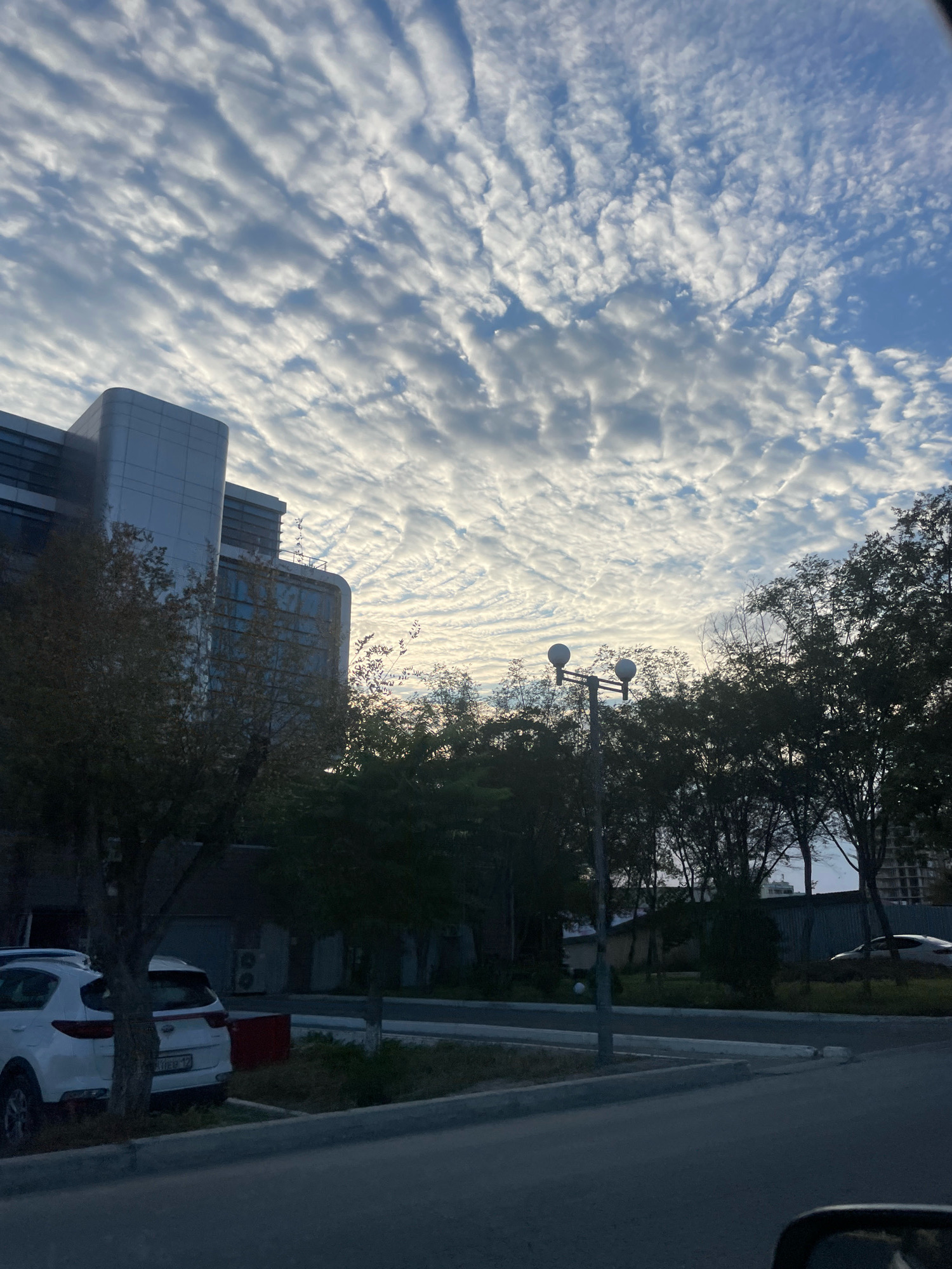 The image depicts an exterior scene in Aktau, Kazakhstan, likely during twilight or early morning hours. The sky is filled with dramatic, rippled clouds against a blue sky, suggesting varied atmospheric conditions. In the mid-ground, a modern, multi-story building with a curved, silver facade stands prominently. In front of the building, several trees with sparse foliage are visible, indicating either an autumn season or a species of tree with naturally limited leaf cover. A street lamp with two globes stands amongst the trees. To the left, a white SUV is parked. The foreground shows a paved road and a sidewalk or curb. The overall impression is one of an urban environment with a focus on architectural and natural elements under a striking sky.