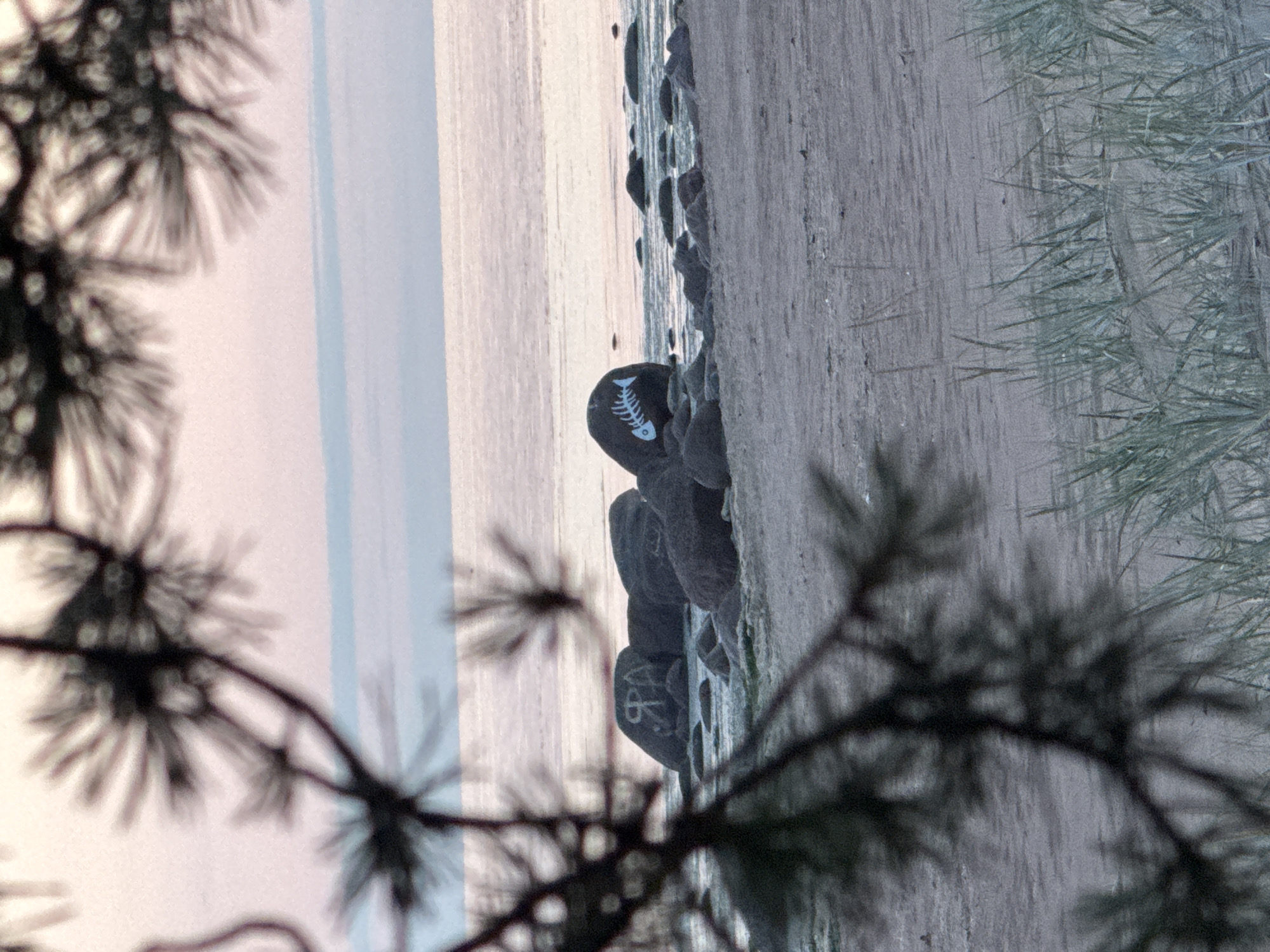 The image depicts a dimly lit scene with a focus on a row of dark, rounded stones or rocks along a sandy shoreline. One of the stones prominently features a white, stylized drawing of a fish skeleton. The background is a calm, grayish body of water, possibly the sea or a large lake, with a faint, pale sky above. In the foreground, the blurry, dark silhouette of pine needles from a tree frames the scene, creating a sense of depth and a natural setting. The overall impression is one of a quiet, overcast day at the beach. The time of day appears to be either early morning or late evening due to the subdued lighting. There is no visible text in the image.