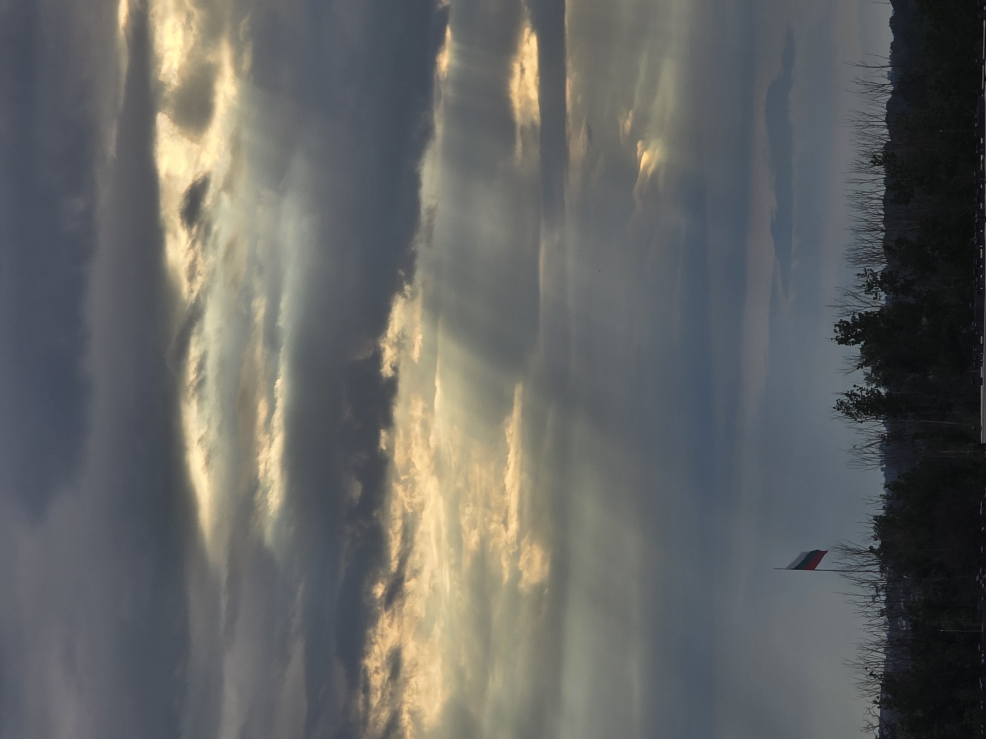 The image captures a scene in what appears to be an elevated location in an urban area. The foreground is dominated by a skyline of trees, a few bare, indicating possible seasonal changes. The sky is filled with dramatic cloud formations, showing variations of light and shadow, possibly during sunrise or sunset. In the lower right, a flag bearing red, white, and green stripes is visible, hinting at the location being in Bulgaria. In the distance, outlines of what may be mountains or hills are visible on the horizon.