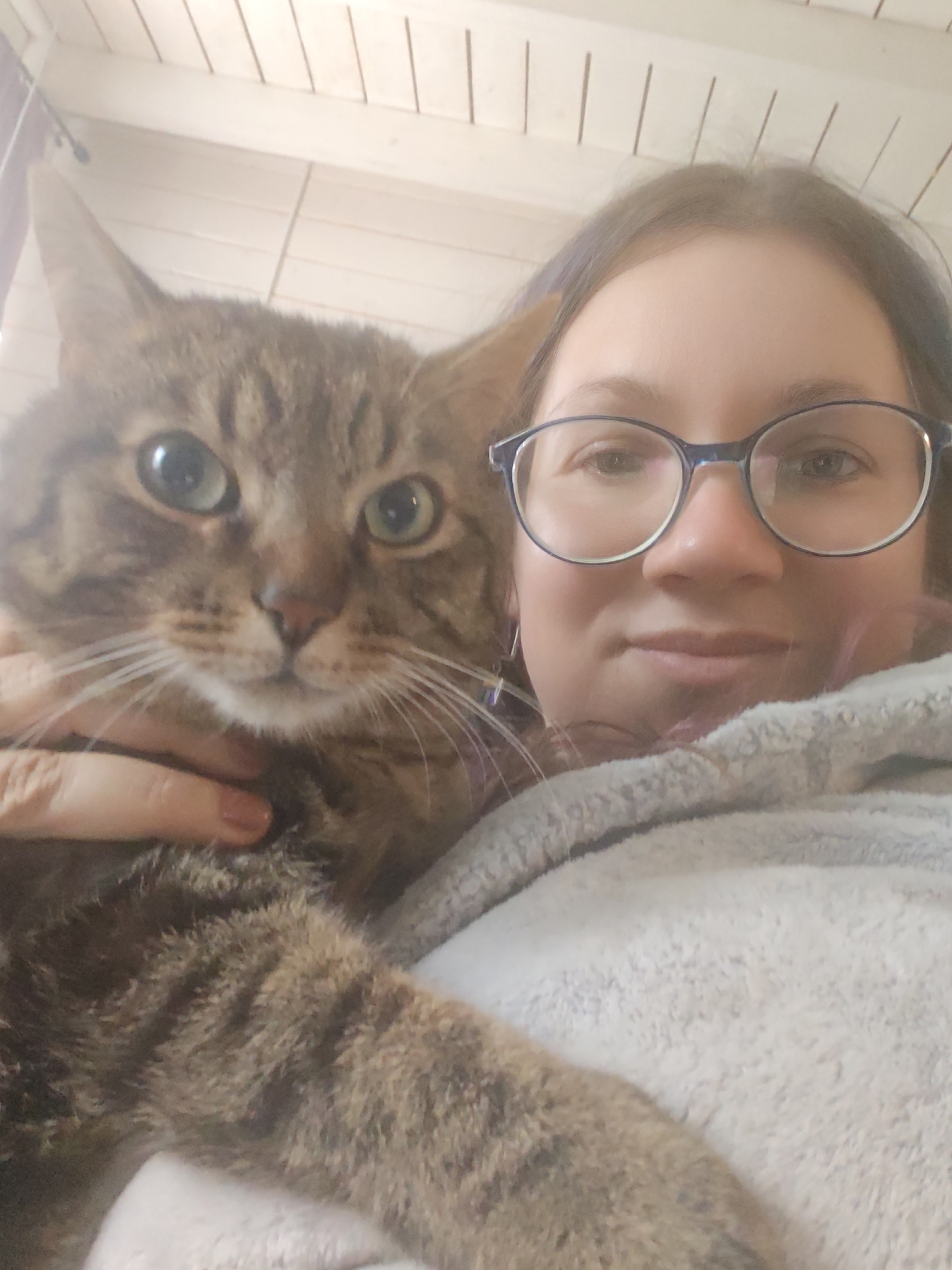 A close-up selfie captures a person and a tabby cat in an indoor setting. The subject on the right is a female with dark hair, visible purple streaks on the left, and blue-rimmed glasses, looking directly at the camera with a gentle smile. She is wearing a soft, light grey, fuzzy top or blanket. Her left hand is visible, gently supporting the cat.
The cat, a brown and grey tabby with distinct dark stripes, occupies the left side and center of the frame. It has wide, green-gold eyes, a pink nose, and prominent white whiskers, and is also looking intently at the camera. The cat appears calm and curious.
The background consists of light-colored wooden planks or slats, likely a ceiling or an upper wall, suggesting a cozy indoor environment. The lighting is soft and diffused, indicating daytime. The image conveys a sense of warmth, affection, and companionship between the person and the cat. No text is visible in the image. The provided location context is Свистуха (кузяевский С/о), Russia.