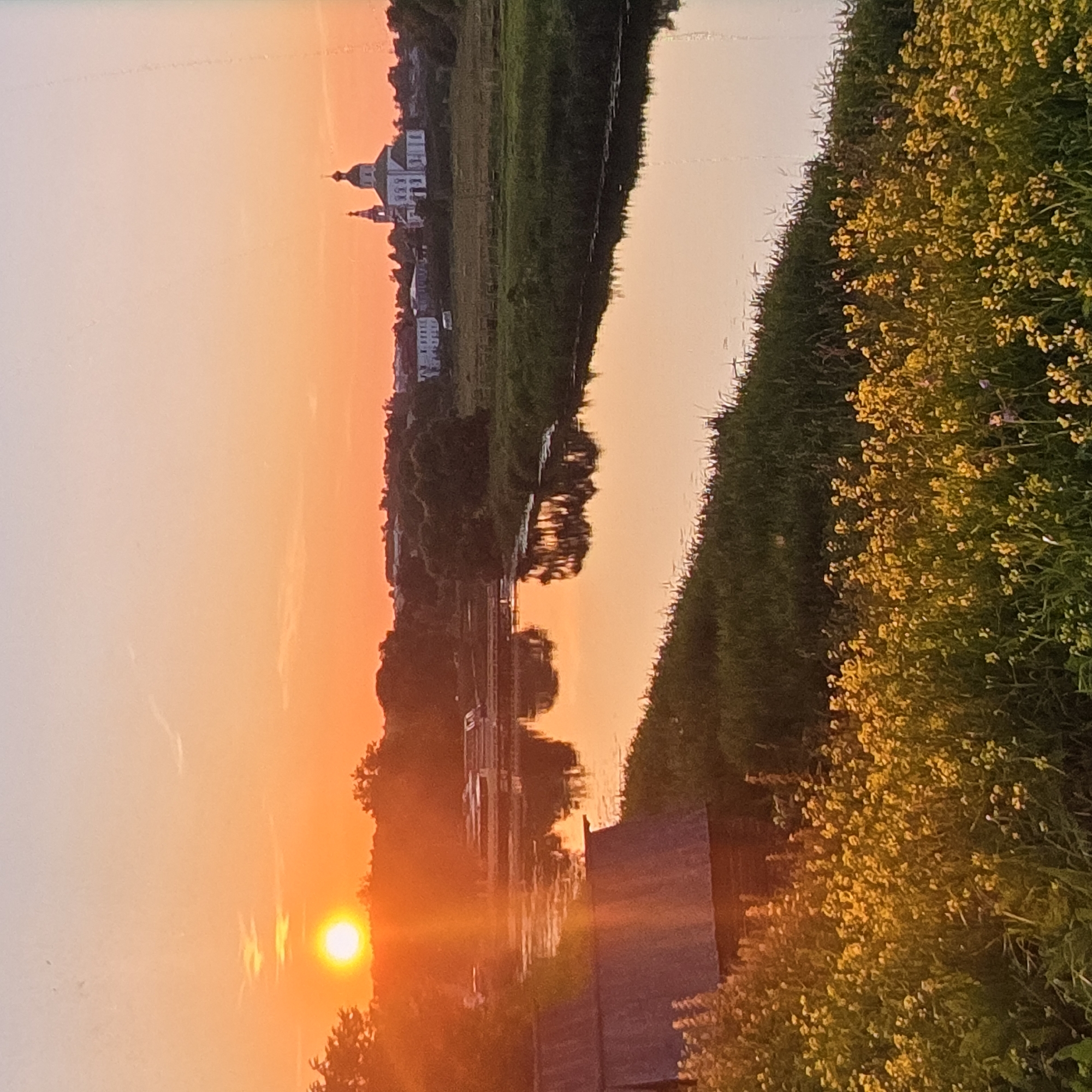 The image depicts a tranquil river scene at sunset in Vladimir, Russia. The sun, a bright, radiant orb, is setting on the left side of the frame, casting a warm, orange glow across the sky and water. In the distance, silhouetted against the vibrant sky, is a white church with a tall, slender bell tower, characteristic of Russian Orthodox architecture. The church stands atop a gentle rise, suggesting it is situated in a village or small town.
The river itself is calm, with the setting sun and surrounding trees reflected on its surface. The foreground is dominated by a dense patch of bright yellow wildflowers, adding a vibrant splash of color to the scene. To the left of the riverbank, partially visible, are two rustic wooden structures, possibly sheds or small cabins, with weathered, dark roofs. The overall environment appears rural and peaceful, evoking a sense of serenity and the beauty of nature at dusk. The image captures a classic Russian landscape, a common sight in the historic cities and towns of the Vladimir Oblast.