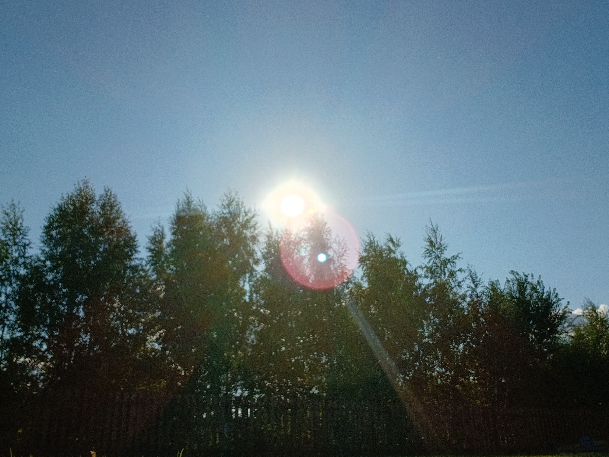 The image depicts a clear blue sky with a bright sun positioned slightly to the left of center, causing lens flare and a visible sunburst effect. A line of trees with dark green foliage forms a silhouette against the sky, with a wooden fence visible behind them. The sun is shining through the trees, creating highlights and bokeh effects. The scene appears to be an outdoor natural setting, possibly on the outskirts of the city of Samarsky, Russia, given the mention of the location. There are no people or animals visible in the image. The overall impression is one of a sunny day in a wooded area.