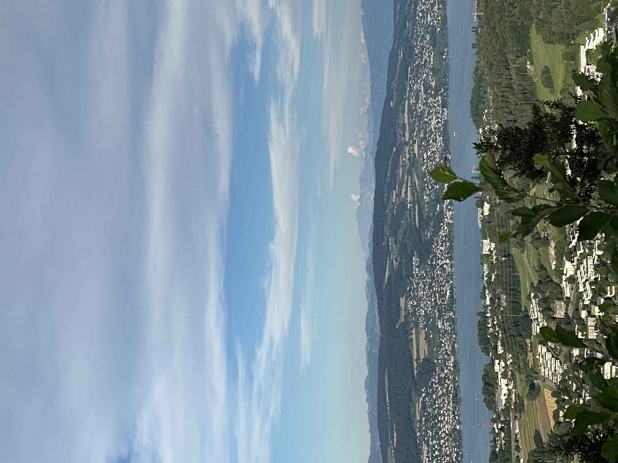 This image is a landscape photograph taken from a high vantage point, likely a hill or mountain, overlooking a lake and a city. The sky is a bright blue with scattered white clouds. In the middle ground, a large body of water, likely a lake, is visible, with a densely populated city lining its shores. The city appears to be comprised of numerous buildings with white roofs and a mix of architectural styles. Beyond the city and lake, rolling hills covered in dense green forests dominate the middle distance. In the background, a range of hazy blue mountains can be seen, their peaks faintly outlined against the sky. In the foreground, the branches of a leafy tree partially obscure the view, with its green leaves in sharp focus. The overall scene suggests a scenic view of a lakeside city nestled amongst hills and mountains, possibly in Switzerland, given the mention of Stallikon. The lighting indicates it is daytime, likely late morning or early afternoon. There are no people or discernible actions depicted in the image. The environment is natural and urban, with a clear division between the wilder, forested areas and the developed cityscape.