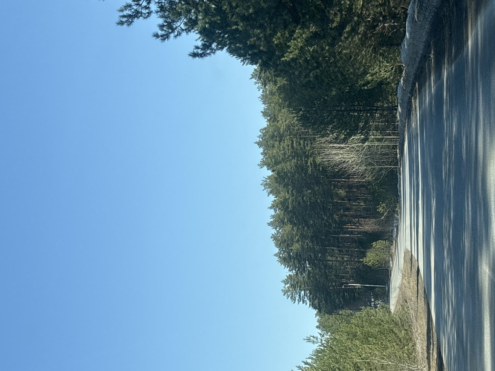 A daytime landscape photograph taken in Chaikovsky, Russia, features a view adjacent to a road. The sky is clear blue. A dense forest of coniferous trees borders the left side of the road. The road surface is gray and partially obscured by shadow. No people are visible.