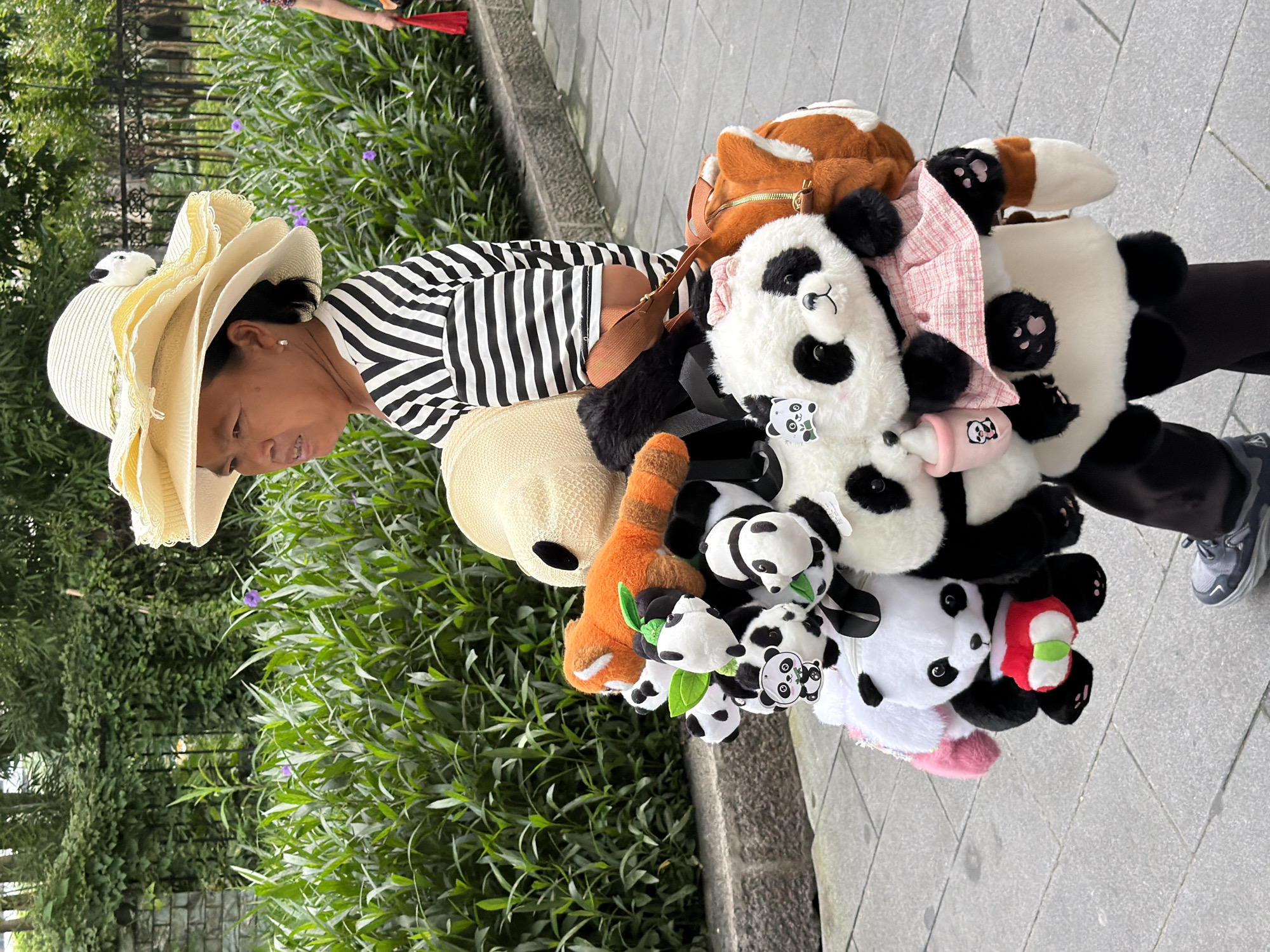 A medium shot captures a woman wearing a wide-brimmed straw hat and a black-and-white striped shirt as she walks along a paved path in Jiulongpo District, China. She is carrying a collection of stuffed animals, primarily pandas, and a stuffed red panda, attached to a bag or harness. The stuffed animals are varied in size and some are wearing small outfits. Behind the woman, a dense green hedge with some purple flowers lines a stone wall, and a black metal fence is visible in the background. The scene is likely outdoors, possibly in a park or tourist area.