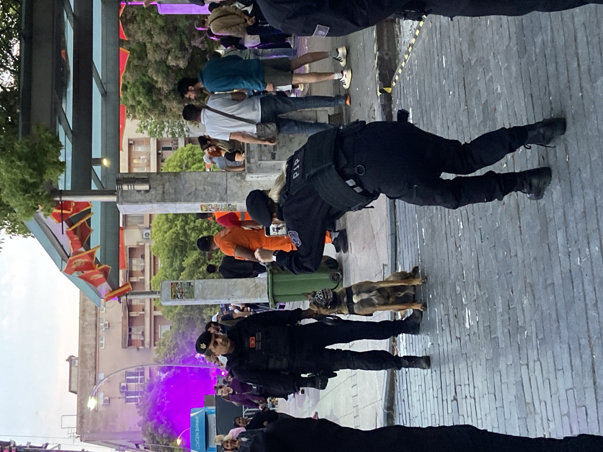The image depicts a street scene in Podgorica, Montenegro, featuring a police officer with a service dog. The officer is wearing a black uniform and a black hat with a badge. The dog has a muzzle and is being led by the officer. In the background, there are several people walking around. The area is decorated with flags. There is a trash can and a banner for "LOVCEN BANKA" visible. The scene is set on a paved street.