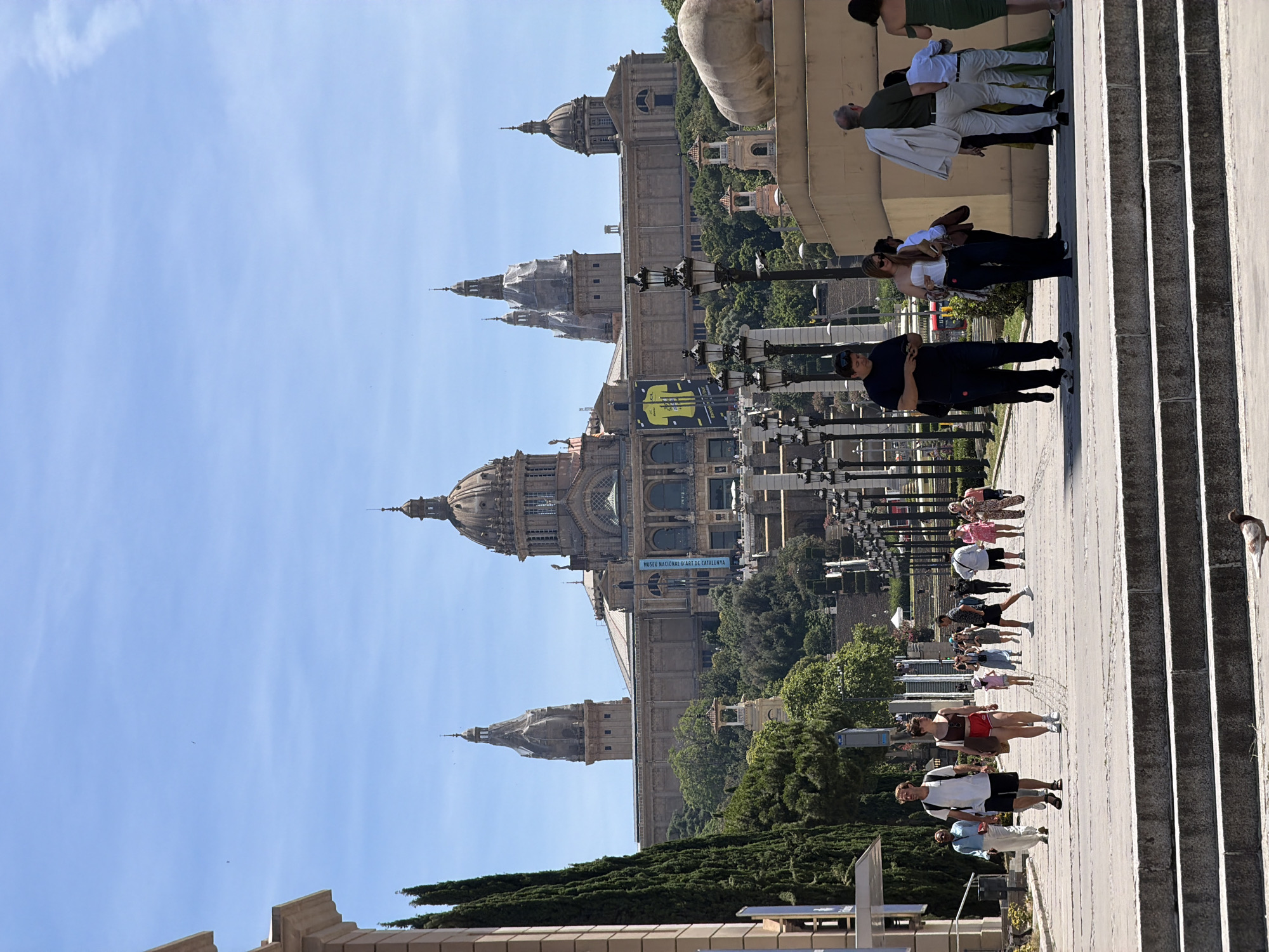 The image depicts the National Art Museum of Catalonia (MNAC) located on Montjuïc hill in Barcelona, Spain. The grand building, with its distinctive domes and spires, serves as the backdrop to a wide, paved pathway lined with lampposts. Numerous people are walking along this pathway, some individually and others in small groups. The foreground shows a set of stone steps, and a pigeon is visible on the steps. The sky is clear blue, and the scene suggests a sunny day, likely in the spring or summer. The overall atmosphere is one of a public space being enjoyed by visitors.