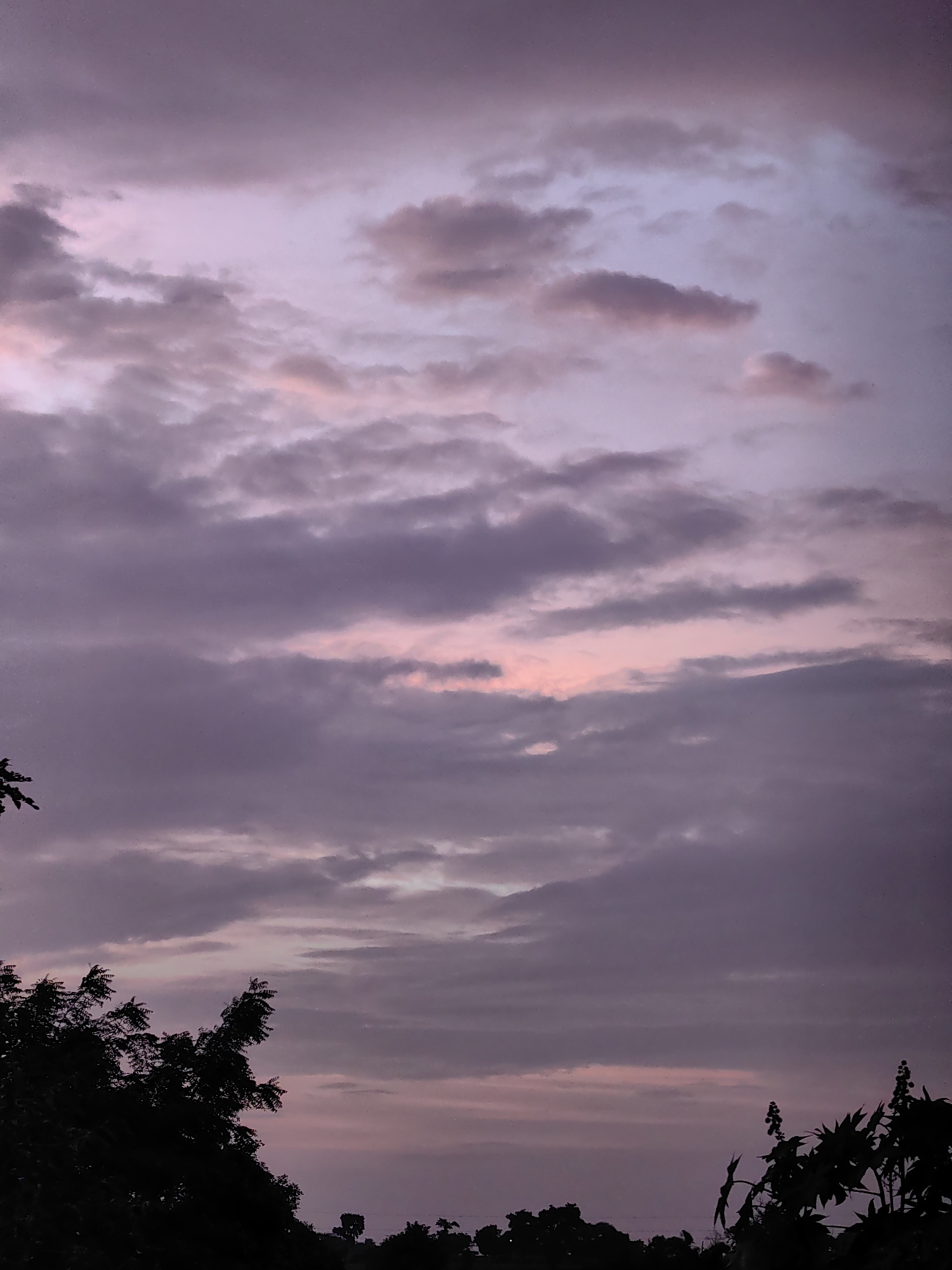 The image captures a twilight sky over Dattapur, India, characterized by a gradient of purple and pink hues. Clouds are present in varying densities, with some appearing thin and wispy, while others are thicker and more defined, tinged with a soft pink from the setting sun. In the foreground, the silhouettes of trees and foliage are visible against the sky, creating a stark contrast. The overall impression is one of a serene evening in a natural landscape within the vicinity of Dattapur.