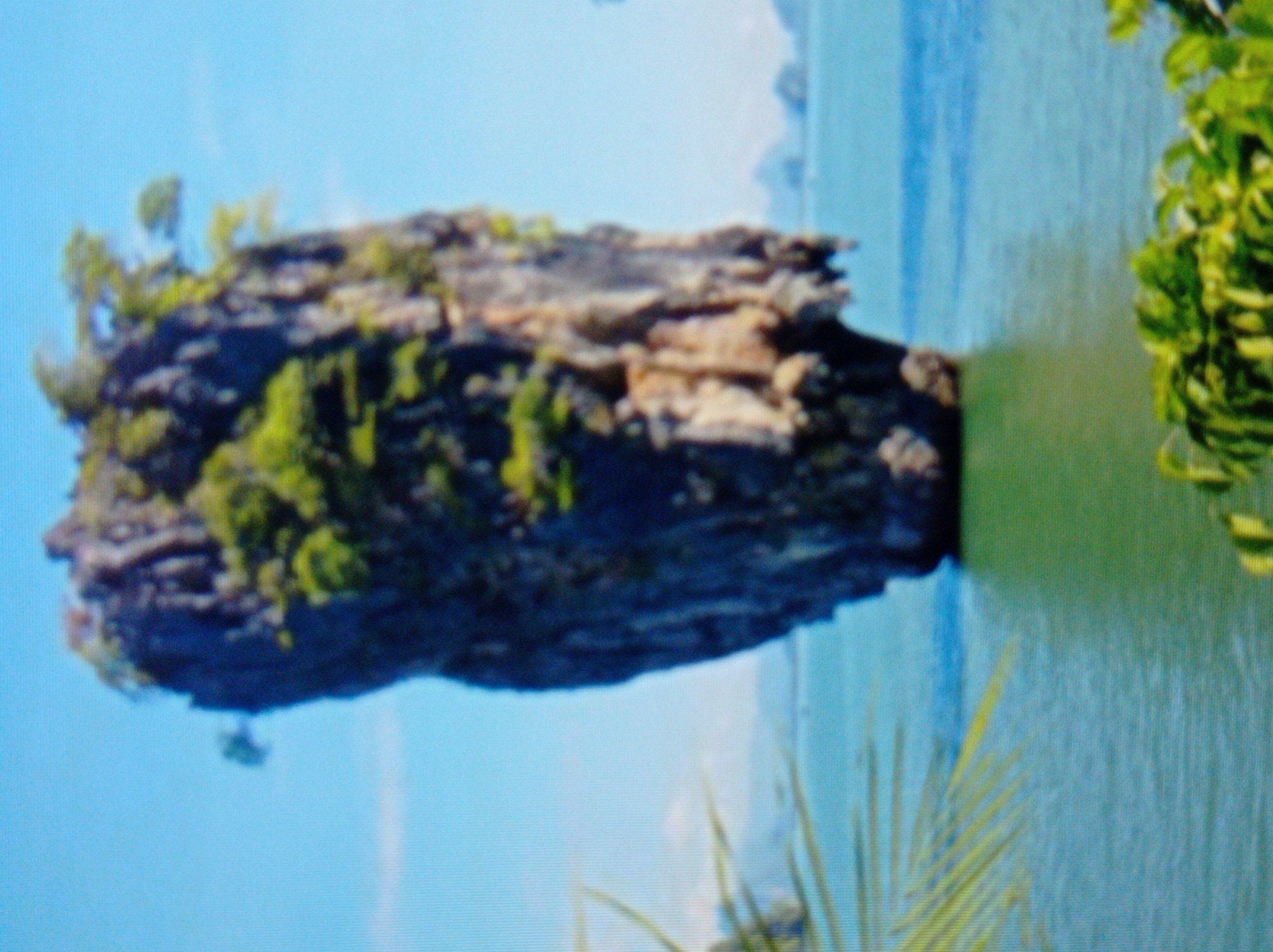 The image depicts a limestone karst island rising from the water. The island is tall and narrow, with a sheer cliff face and vegetation growing from its top. The water surrounding the island is a vibrant green, and the sky is a clear blue. In the foreground, there are palm fronds and other lush green foliage, suggesting a tropical or subtropical environment. The background shows more islands in the distance, also covered in vegetation. The overall scene is serene and picturesque.
It is important to note that this image does not depict the city of Mukachevo, Ukraine. Mukachevo is an inland city located in the Carpathian Mountains region of Ukraine and does not feature this type of limestone karst island landscape. This image is representative of a coastal or island environment, likely in Southeast Asia, such as Thailand's Phang Nga Bay, which is famous for its similar karst formations.