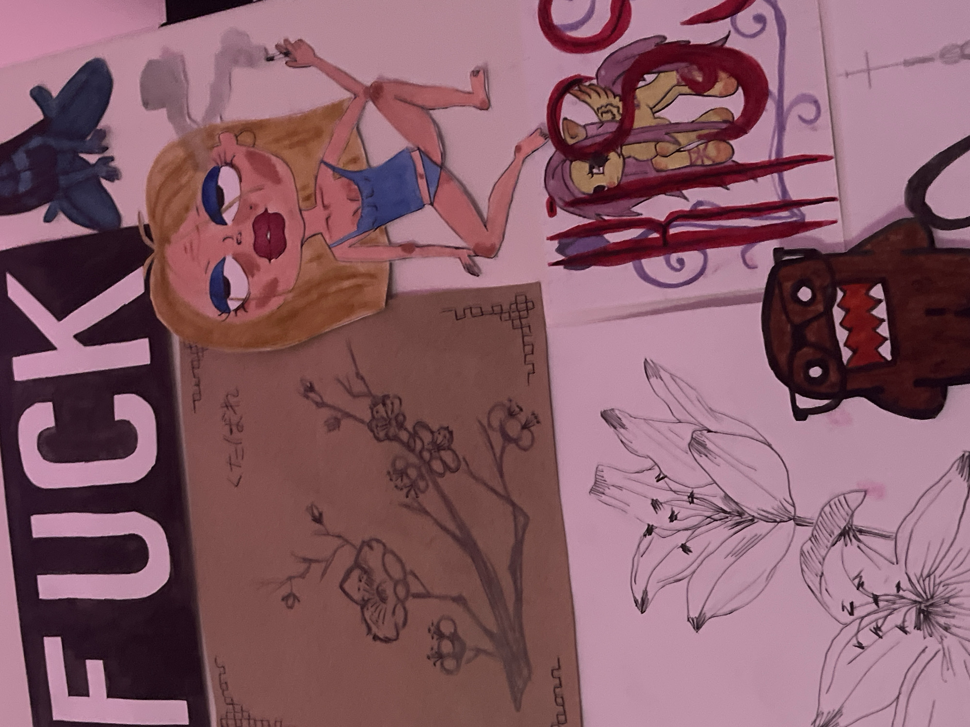 The image shows a collage of drawings on a white surface. From left to right, there is a blue airplane, a drawing of a blonde woman smoking, a stylized pony drawing with red lines, a brown character with glasses and large teeth, a drawing of flowers, and a brown paper with cherry blossom drawing with Japanese letters. On the left, there are large black letters that spell out "FUCK." The location of Saint Petersburg, Russia, is not suggested by the image.